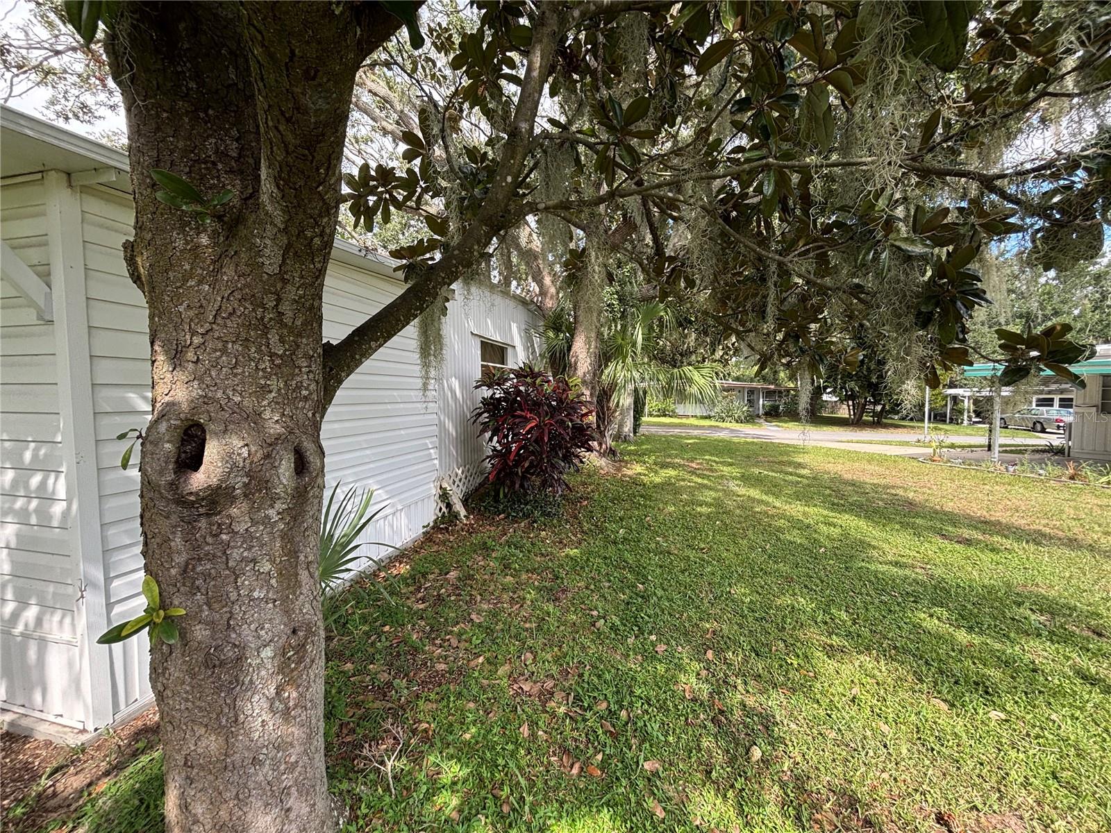 Image 8 of 18 For 31235 Temple Avenue