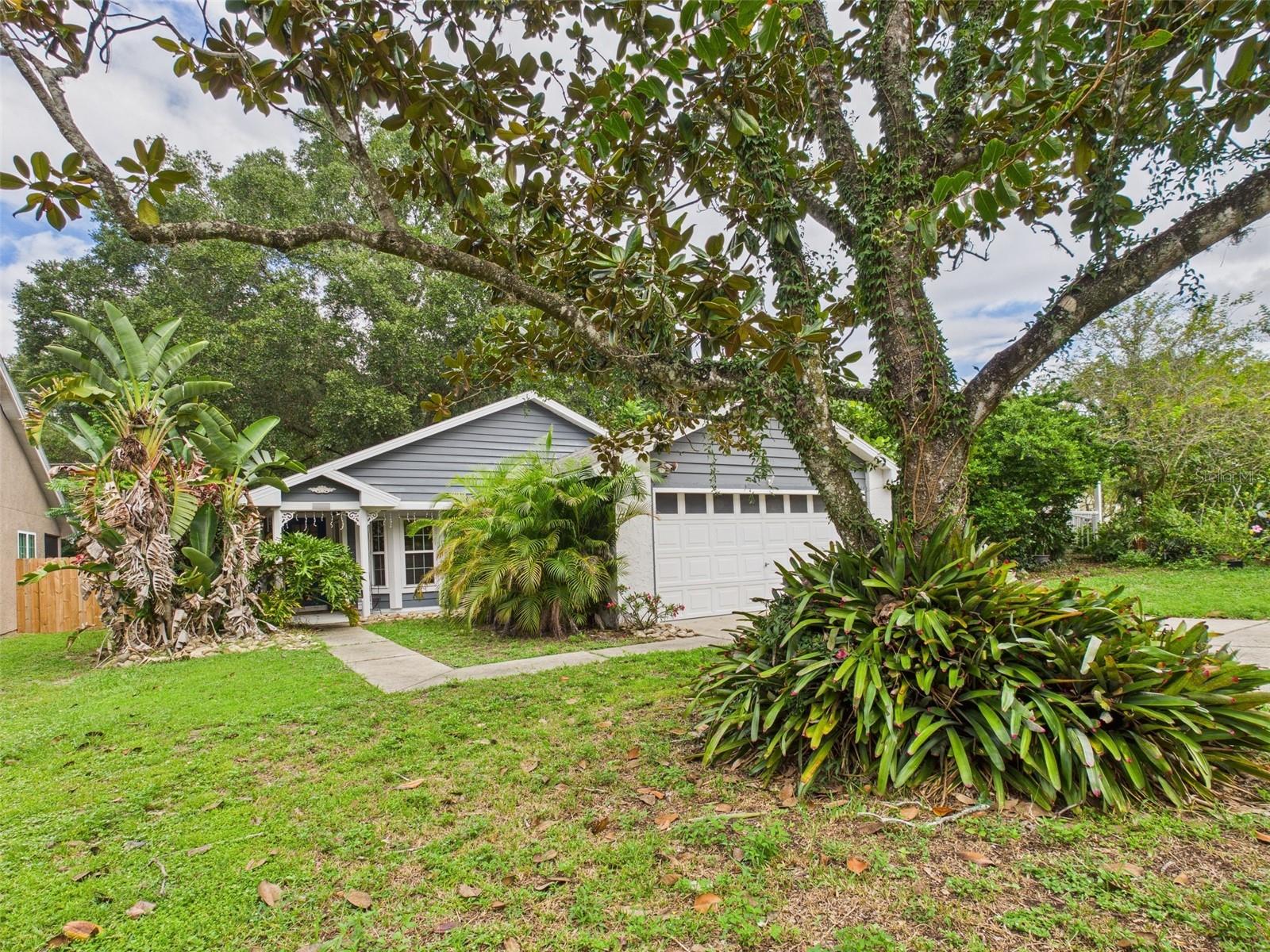 Details for 2013 Donnelly Place, MOUNT DORA, FL 32757
