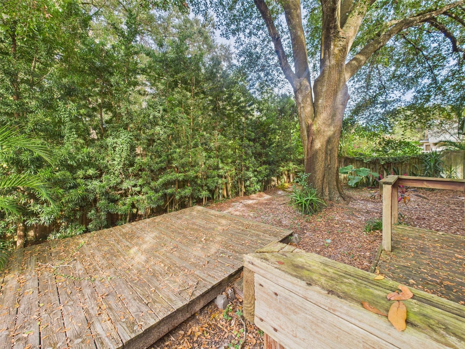 Image 27 of 30 For 2013 Donnelly Place