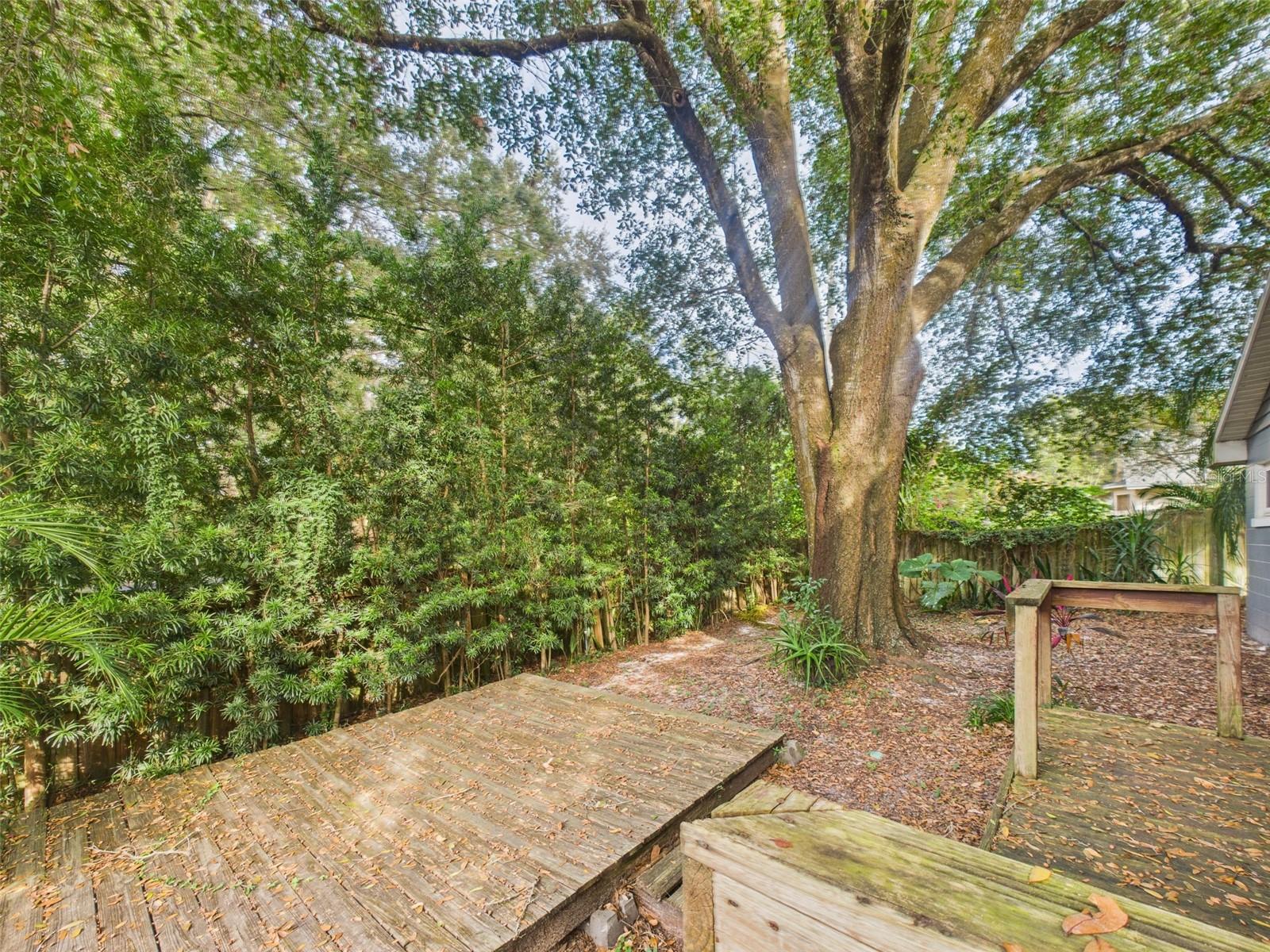 Image 28 of 30 For 2013 Donnelly Place