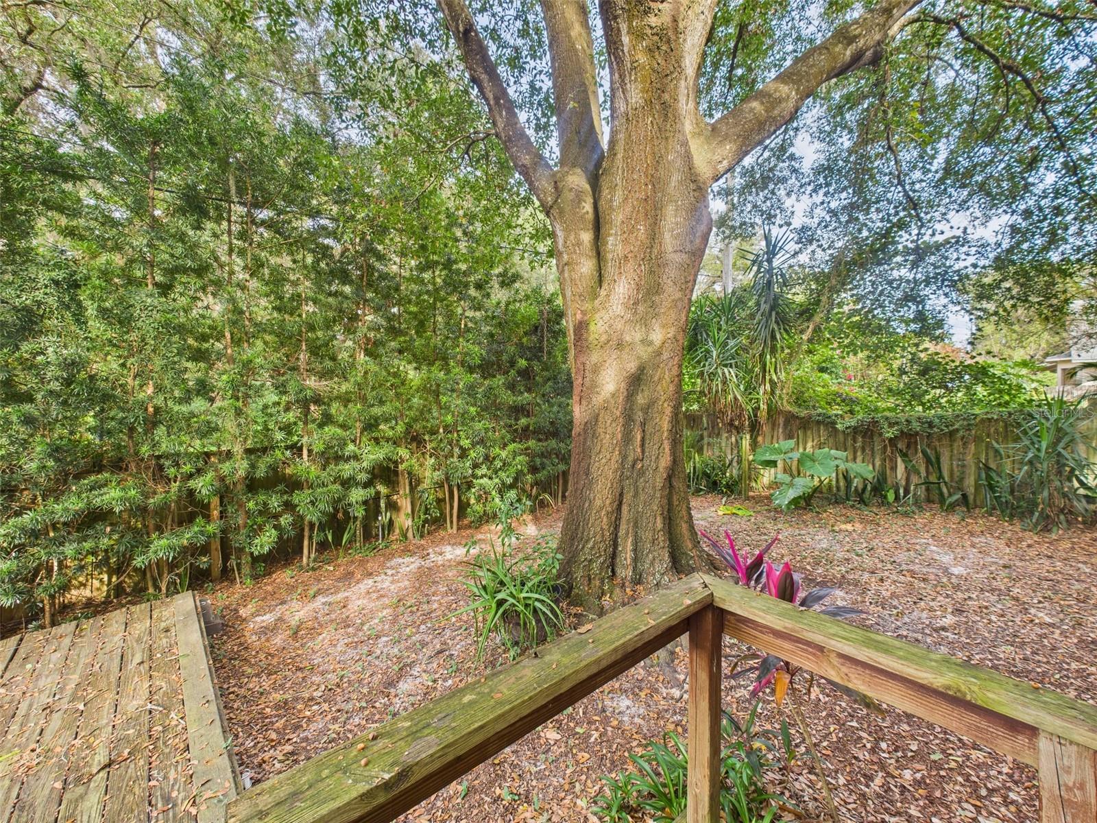 Image 29 of 30 For 2013 Donnelly Place