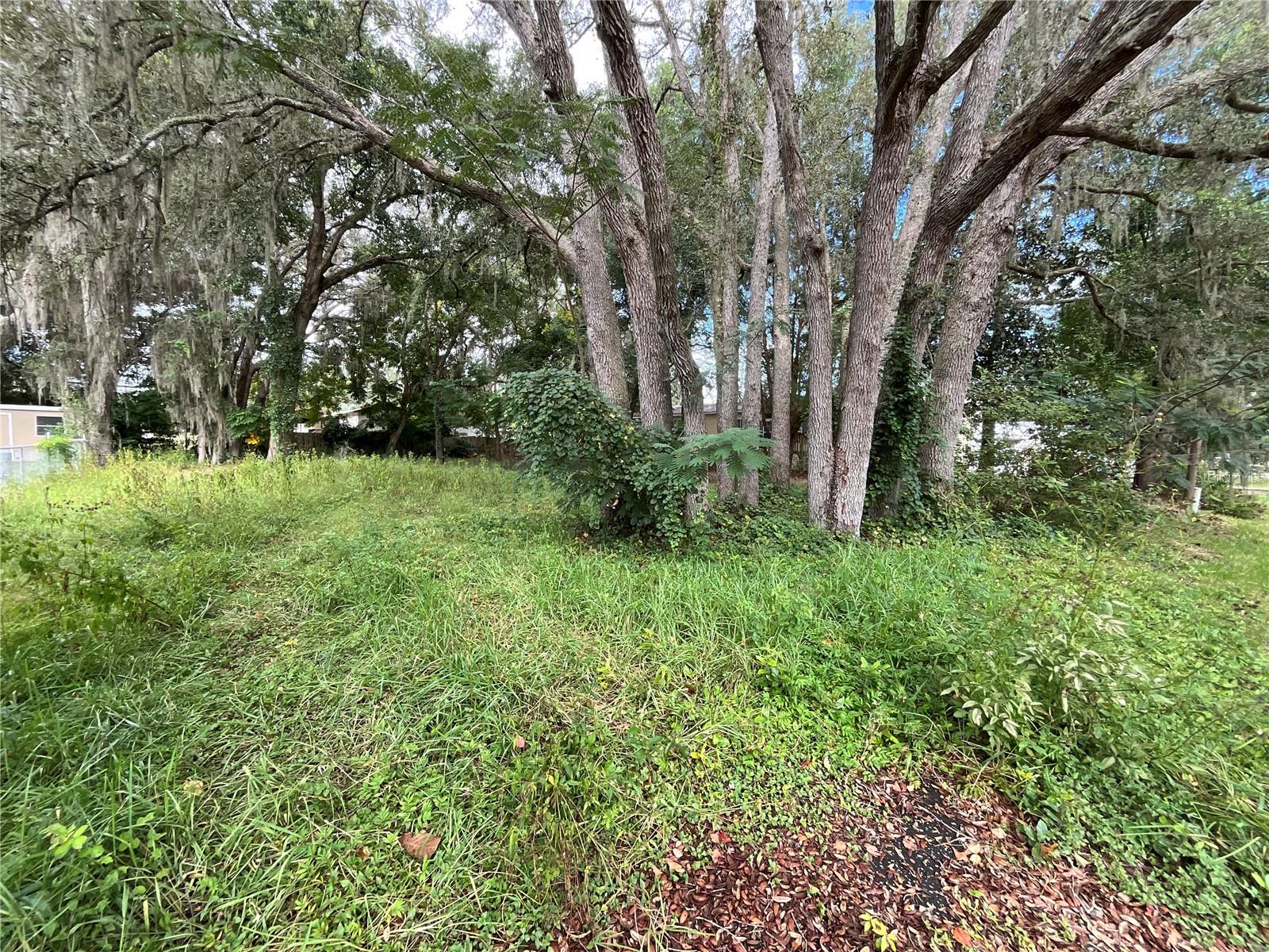 Details for 99 Terrace Se, SUMMERFIELD, FL 34491