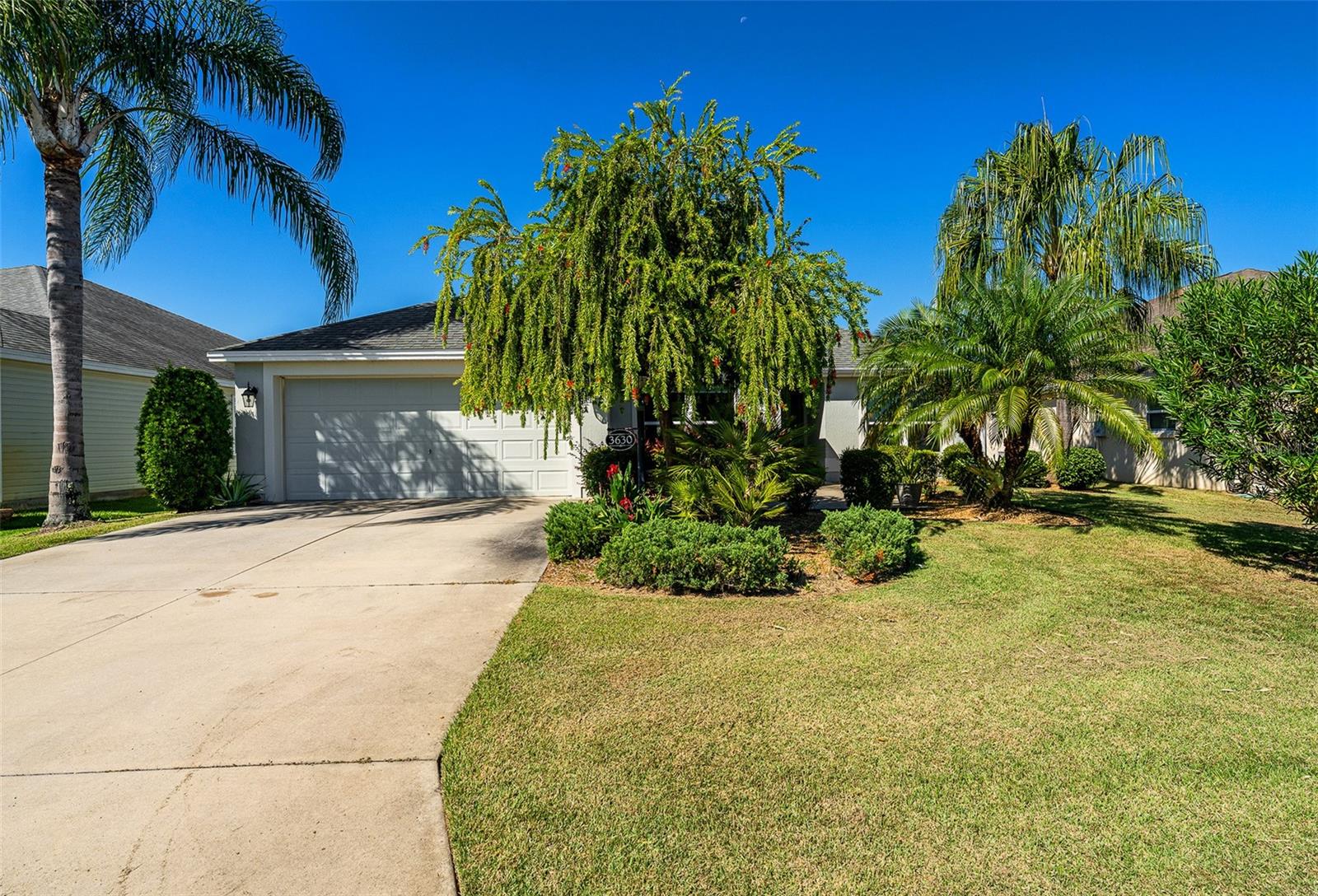 Image 30 of 37 For 3630 Anvil Avenue