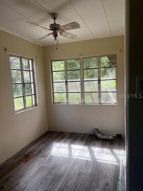 Image 3 of 9 For 2112 Hollywood Avenue