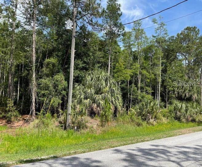 Details for Thunderhead Street, WESLEY CHAPEL, FL 33544