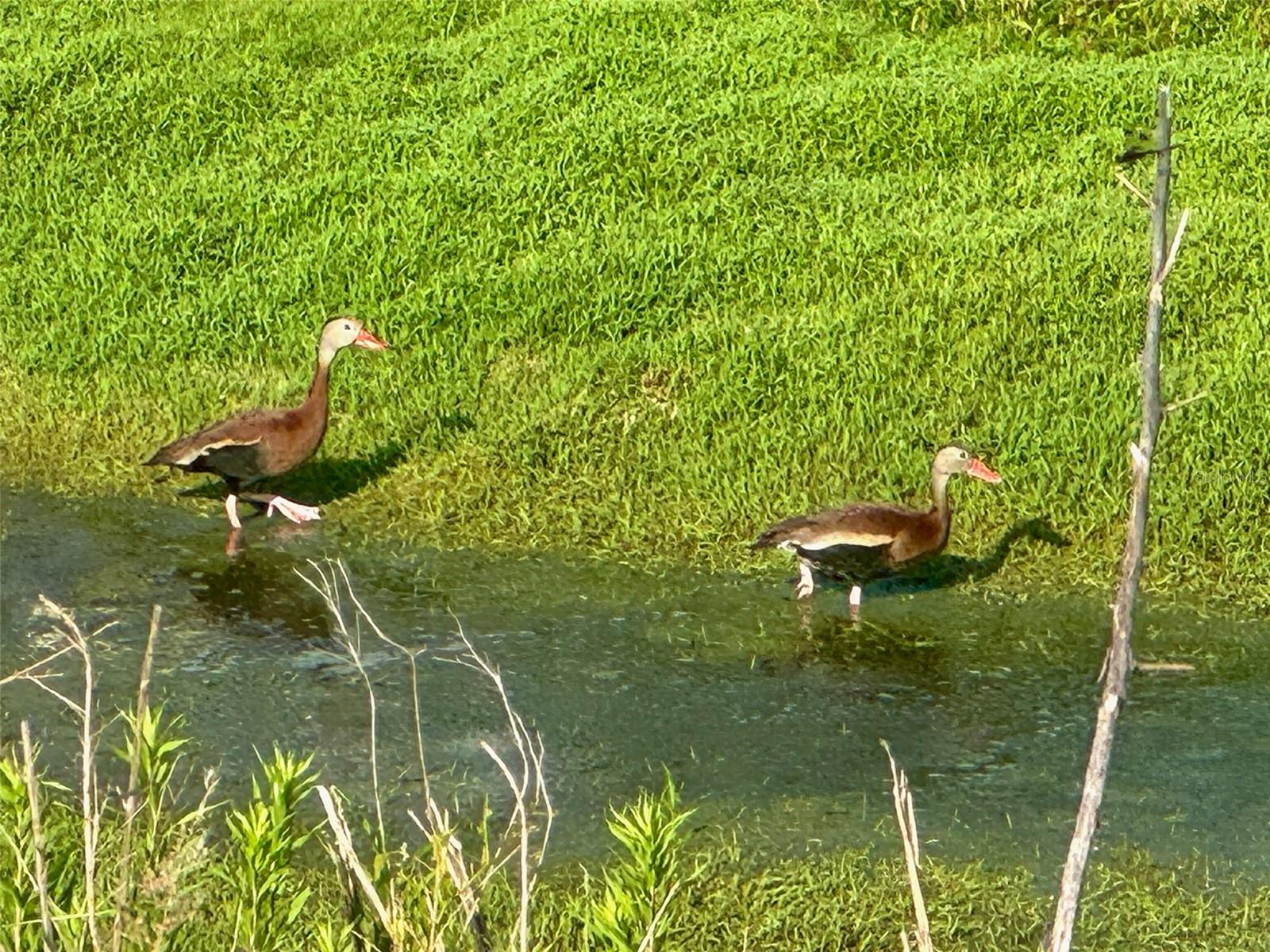 Image 12 of 46 For 9540 49th Terrace