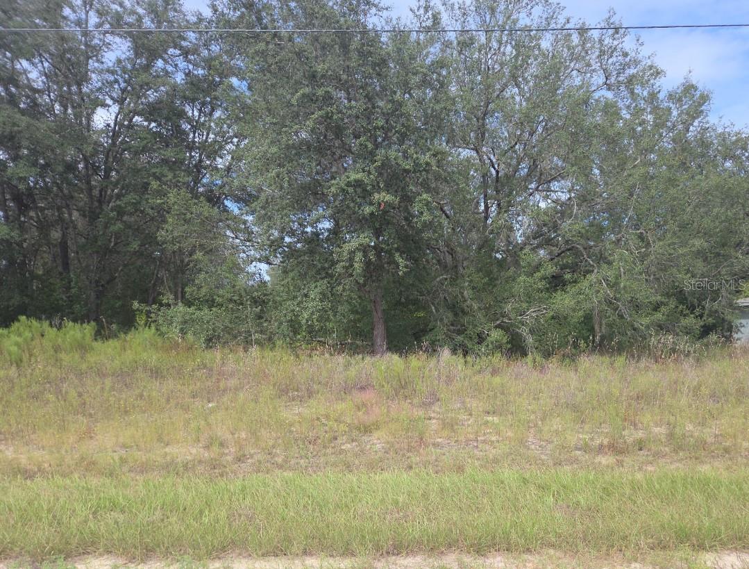 Details for 823 Dellbrook Lane, DUNNELLON, FL 34434
