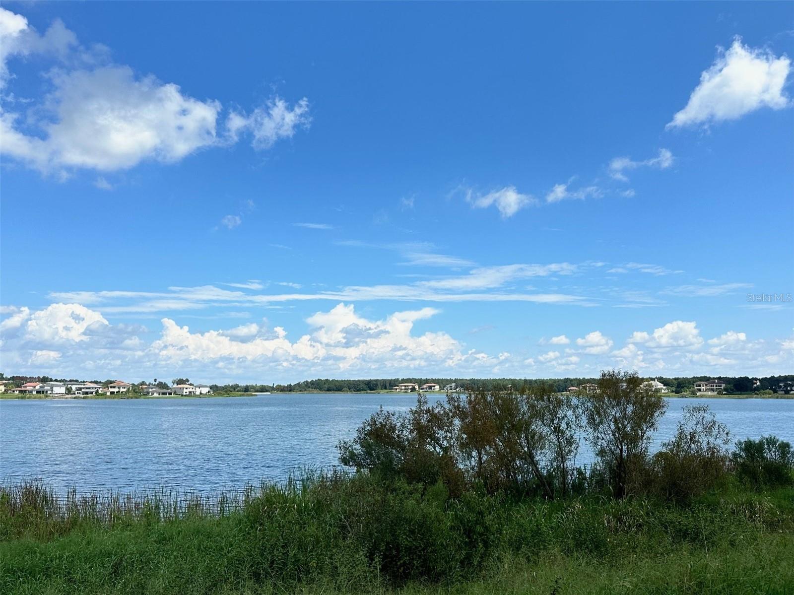 Details for 15117 Pendio Drive, BELLA COLLINA, FL 34756