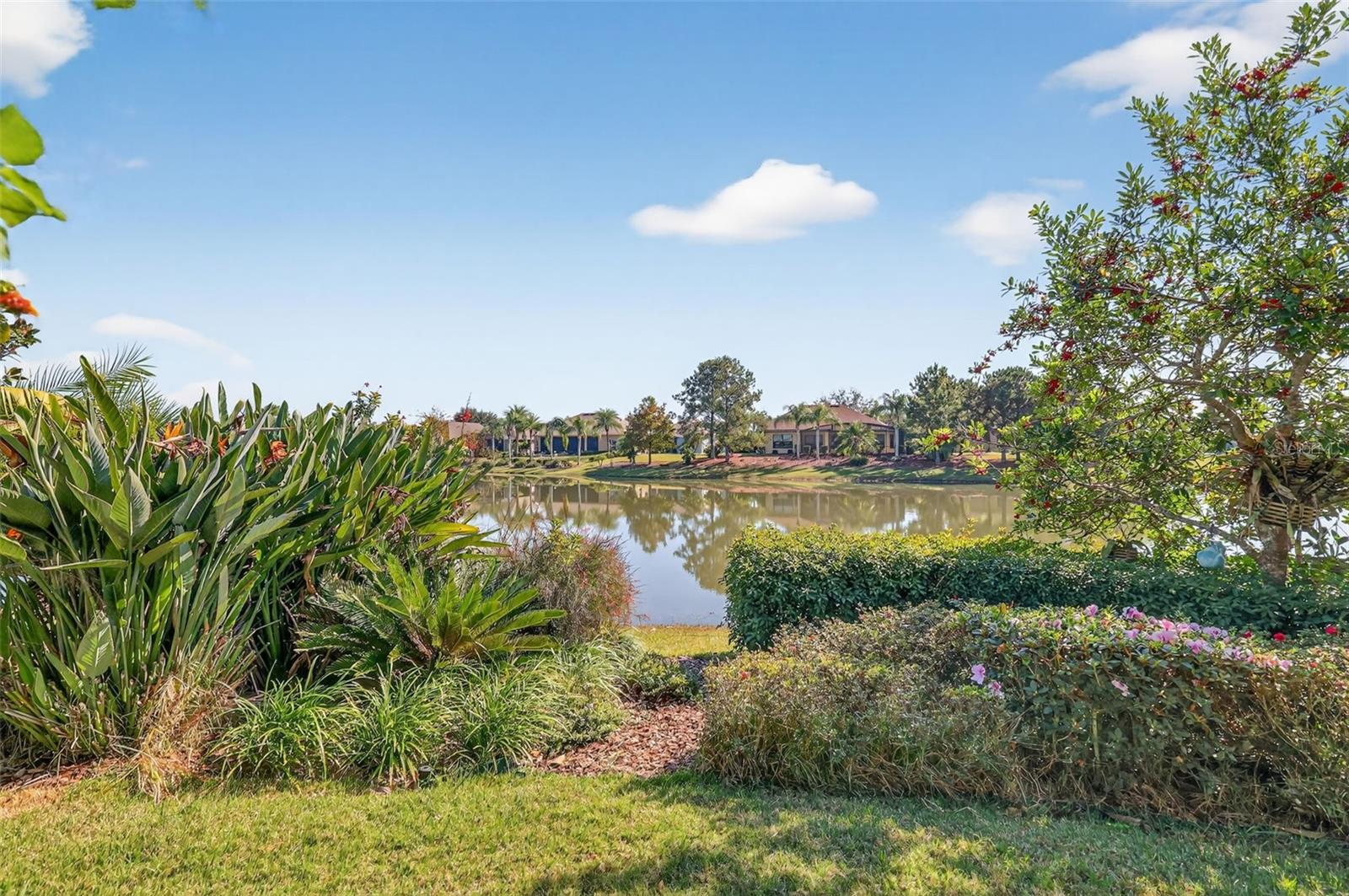 Image 41 of 77 For 8852 Bridgeport Bay Circle