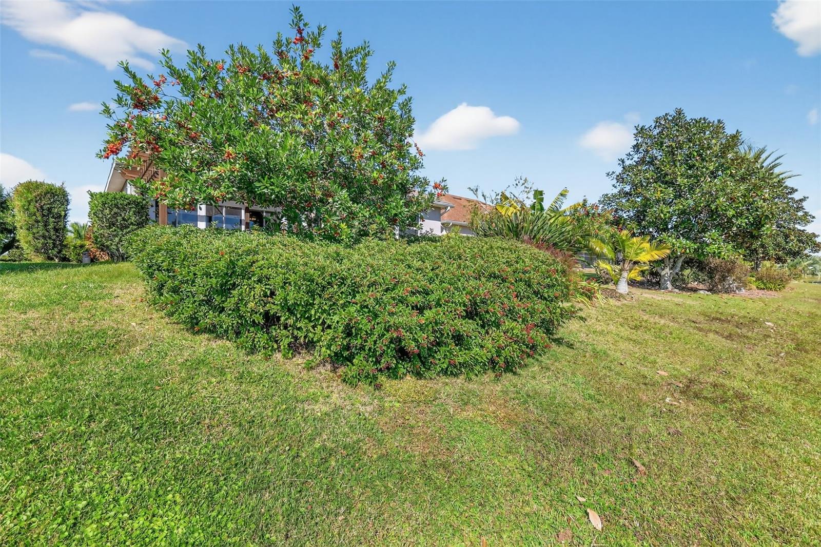 Image 42 of 77 For 8852 Bridgeport Bay Circle