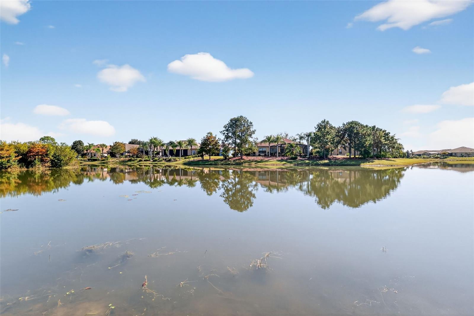 Image 43 of 77 For 8852 Bridgeport Bay Circle