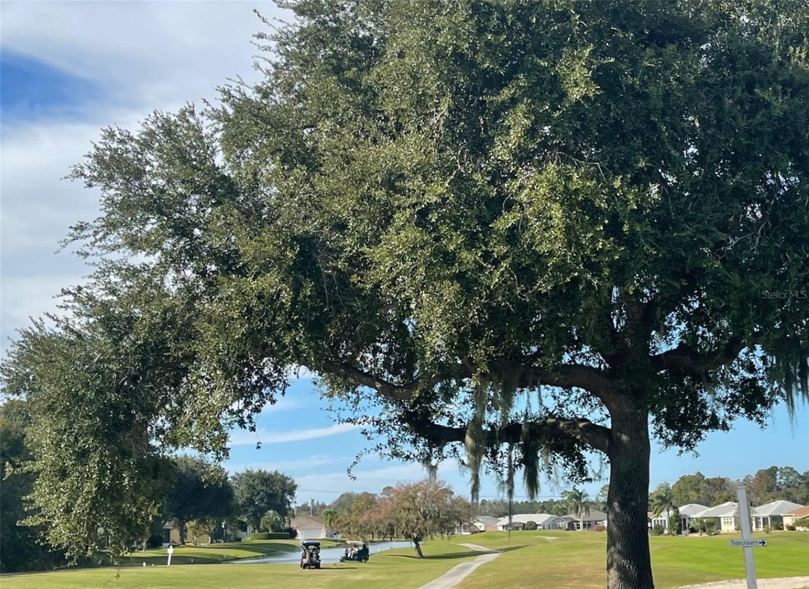 Image 26 of 29 For 507 Cottage Park Lane