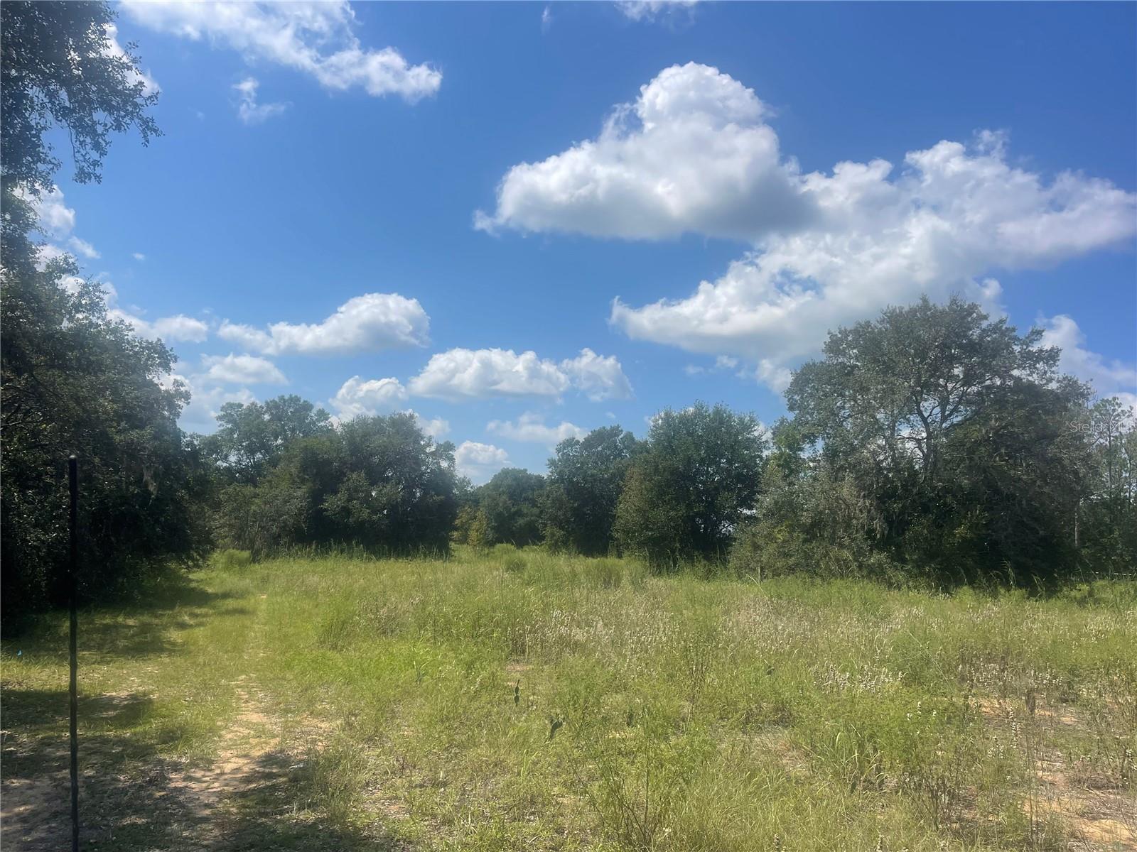 Details for Tbd Keene Road, UMATILLA, FL 32784
