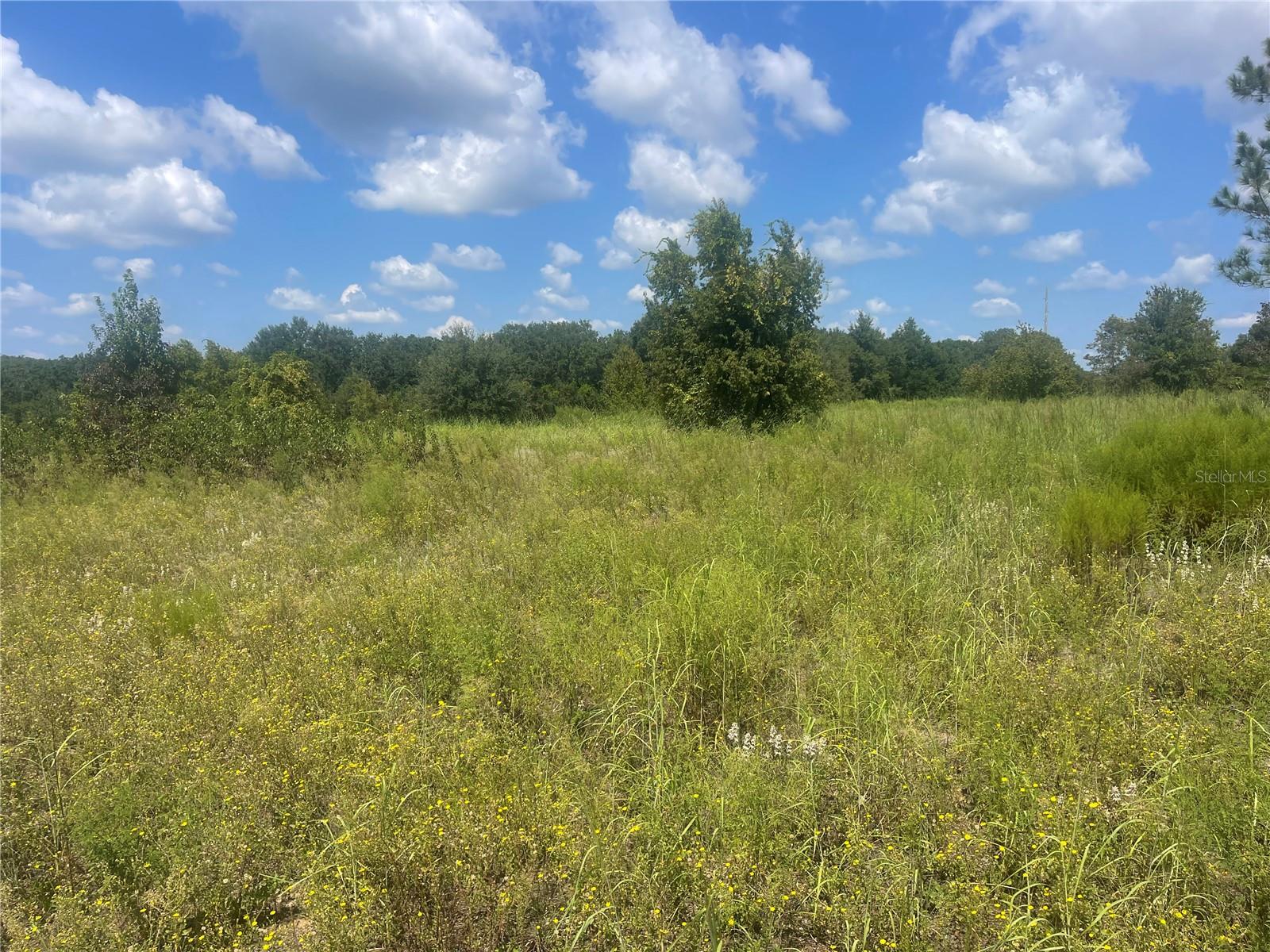 Image 3 of 3 For Tbd Keene Road