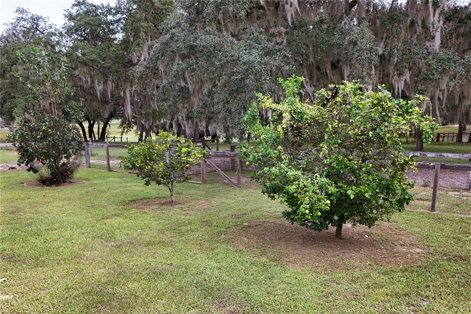Image 55 of 68 For 41812 Catbrier Lane