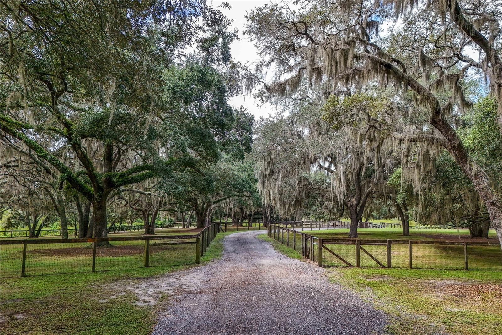 Image 65 of 68 For 41812 Catbrier Lane