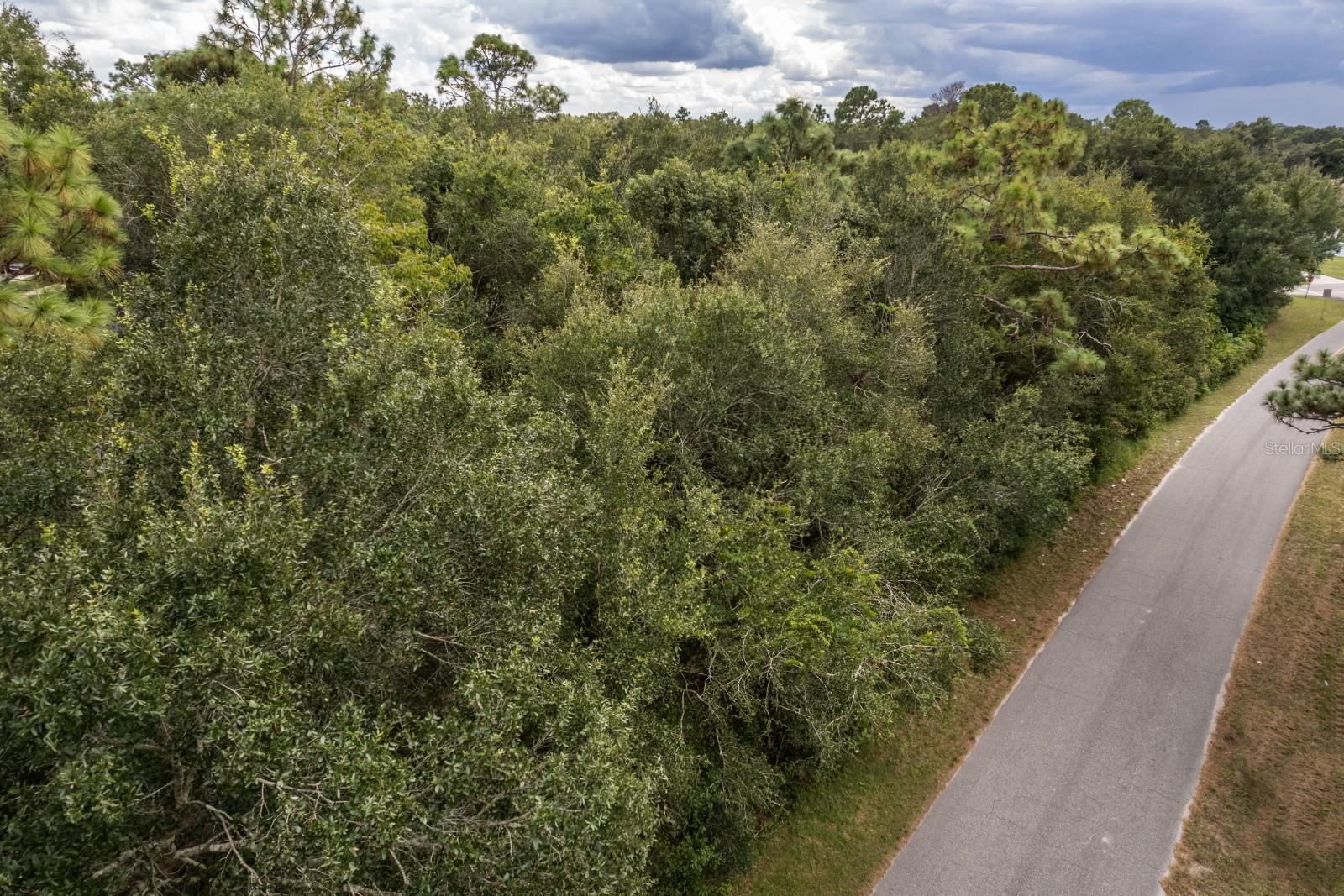 Details for Interlachen Drive, MOUNT PLYMOUTH, FL 32776