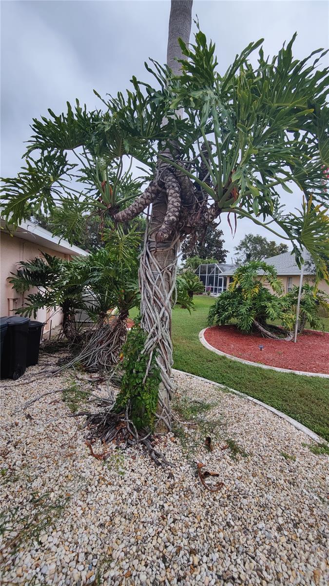 Image 31 of 65 For 14219 Mansfield Road