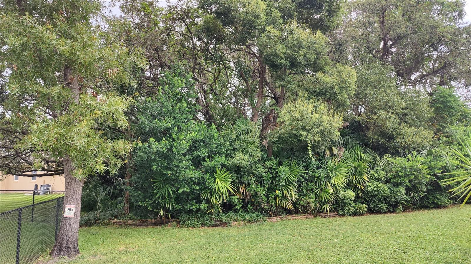 Image 53 of 65 For 14219 Mansfield Road