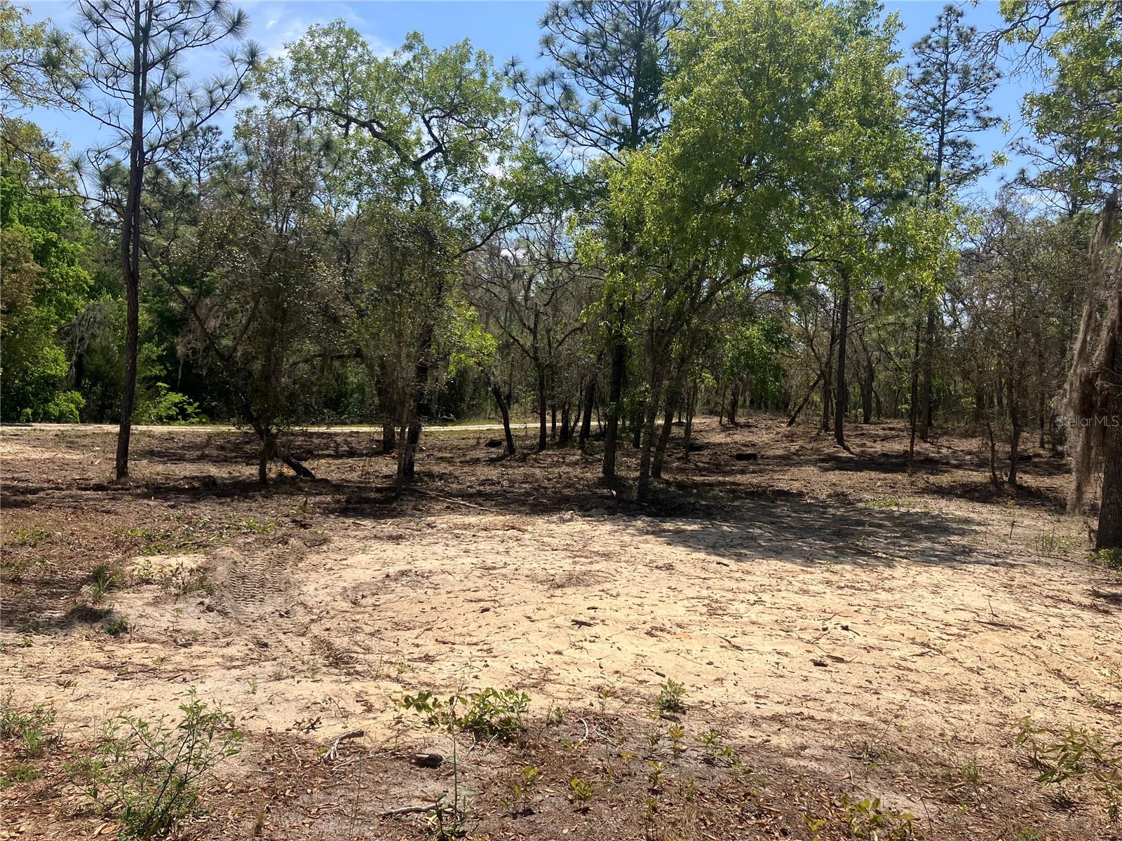 Image 8 of 27 For Address Not Provided