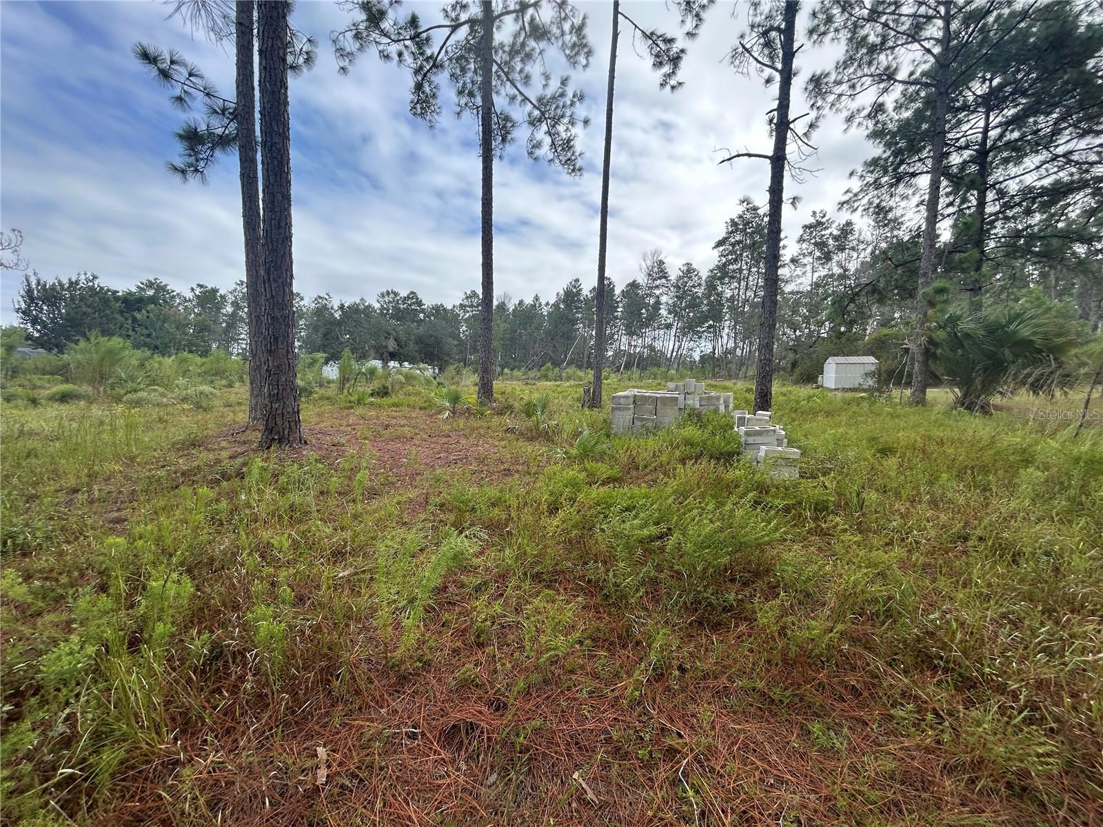 Details for Tulip Avenue, EUSTIS, FL 32736