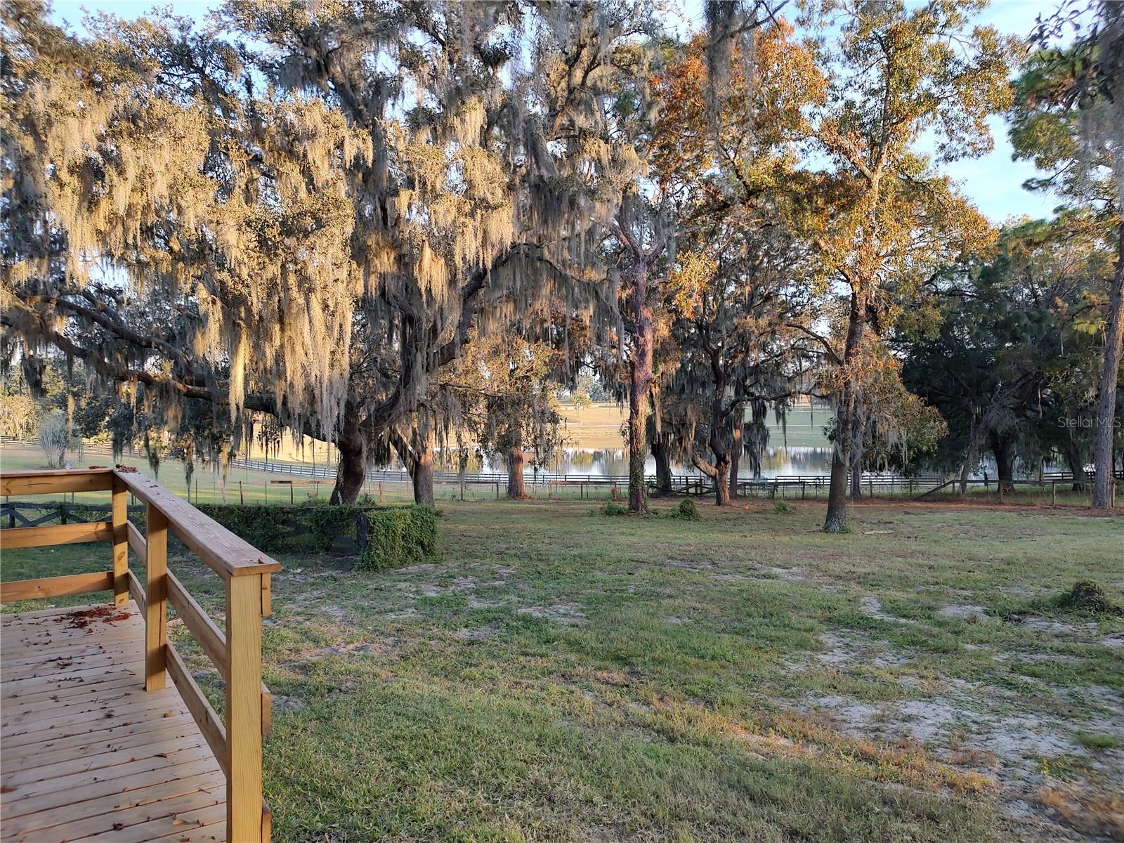 Image 31 of 72 For 4432 Marion County Road