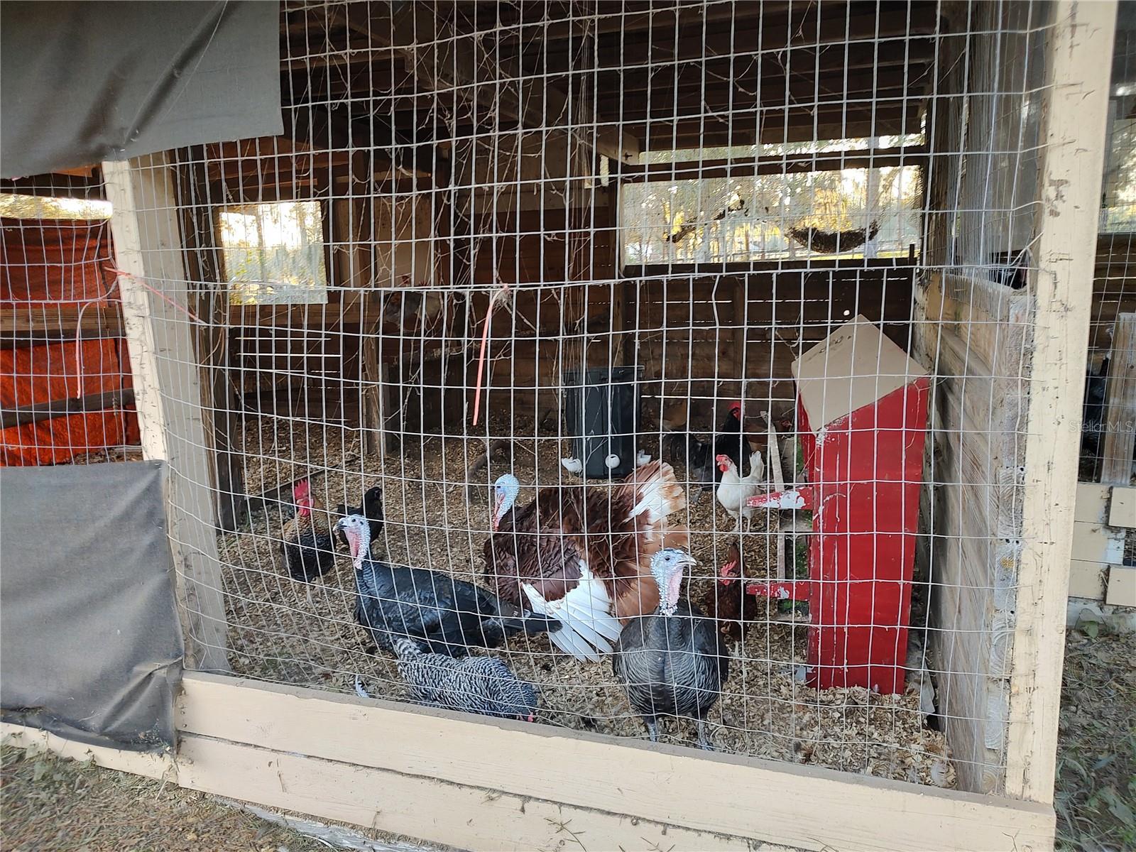 Image 53 of 72 For 4432 Marion County Road