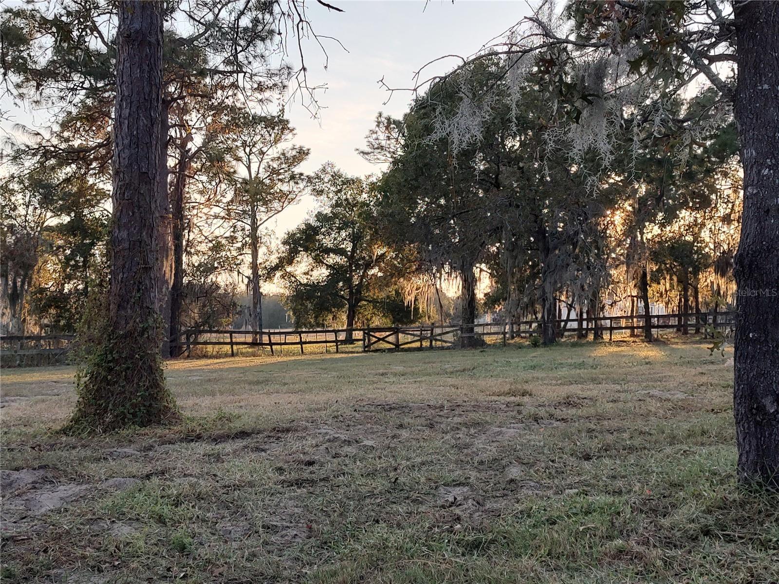 Image 61 of 72 For 4432 Marion County Road