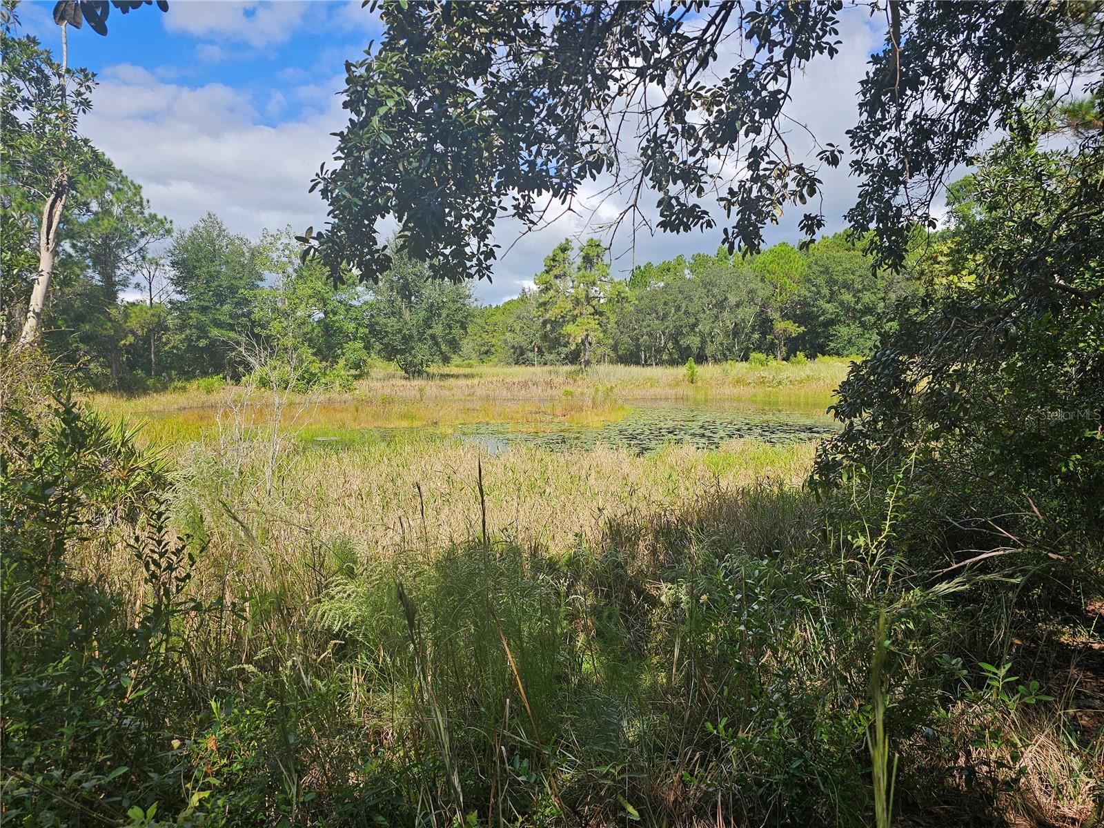 Image 10 of 26 For 45070 Wild Acres Trail