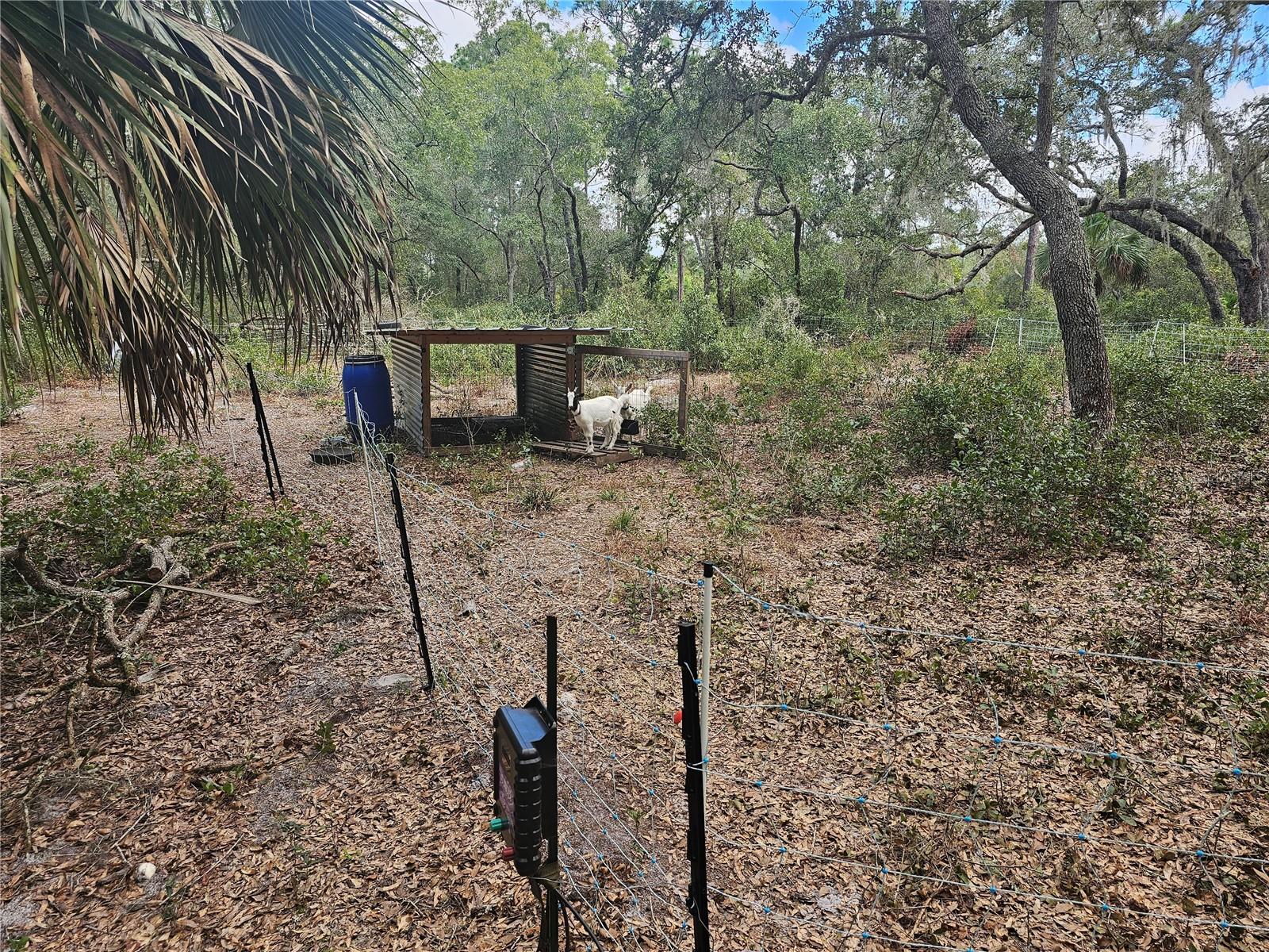 Image 11 of 26 For 45070 Wild Acres Trail