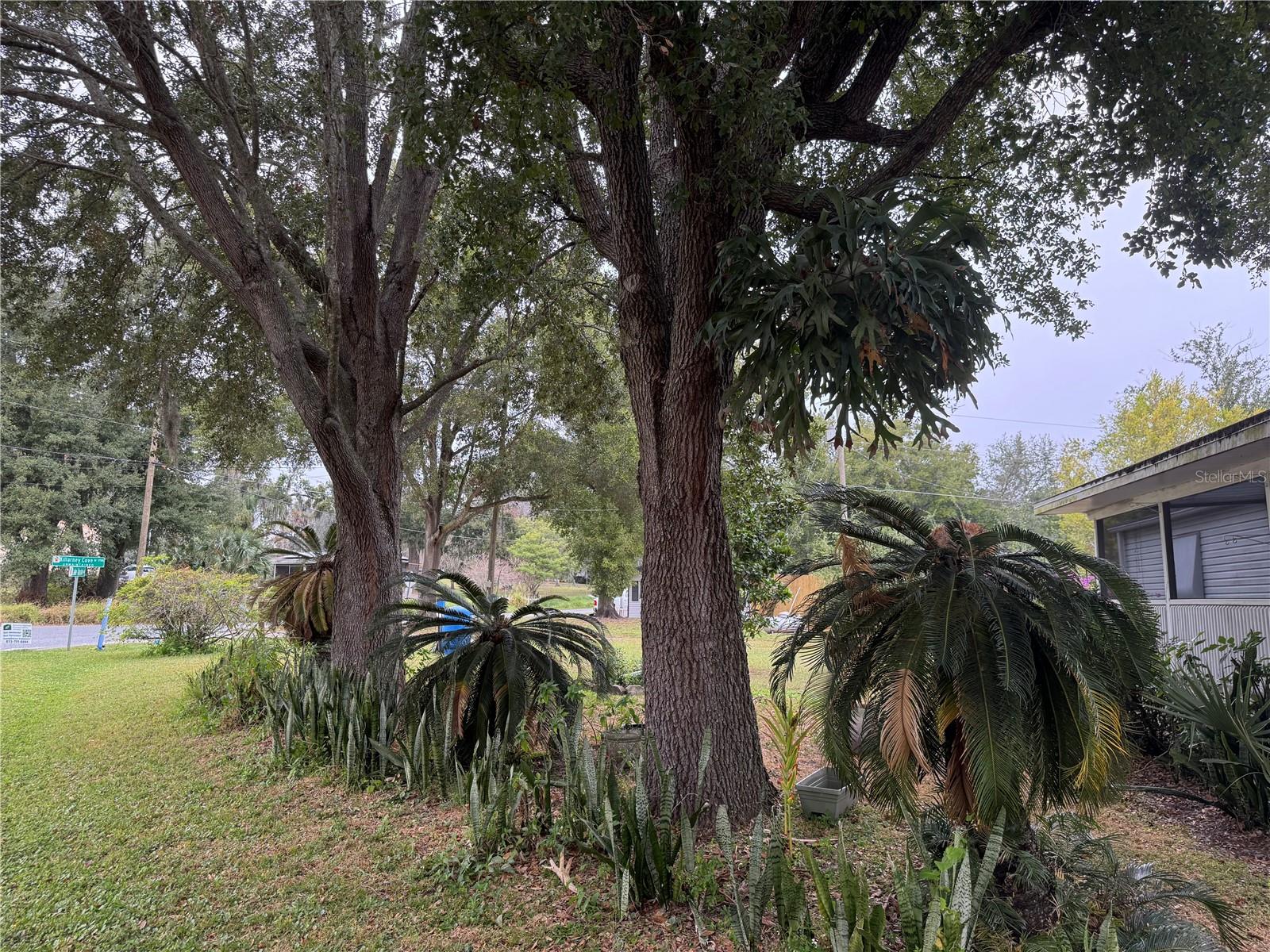 Image 32 of 36 For 651 J W Jones Road