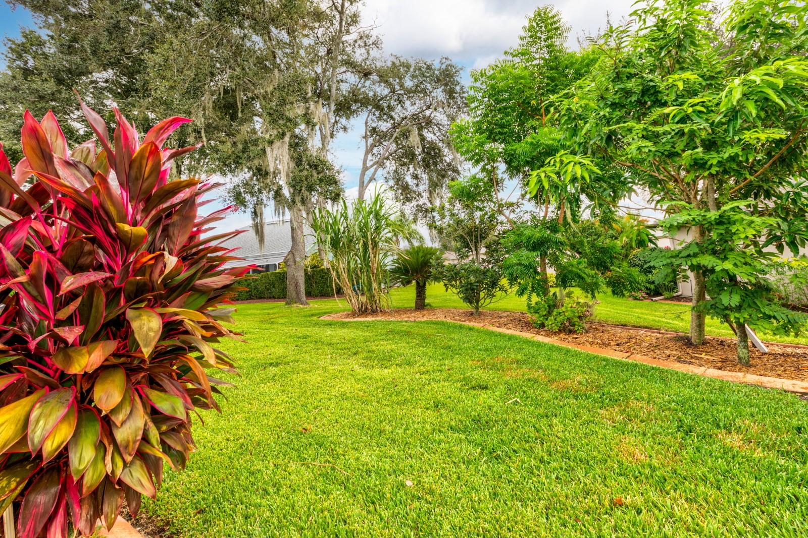 Image 20 of 24 For 5839 Woodland Moss Way