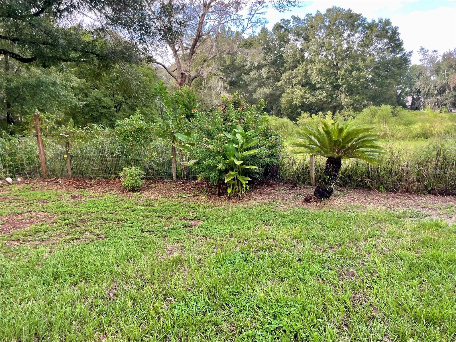 Image 34 of 41 For 44246 Berwick Street