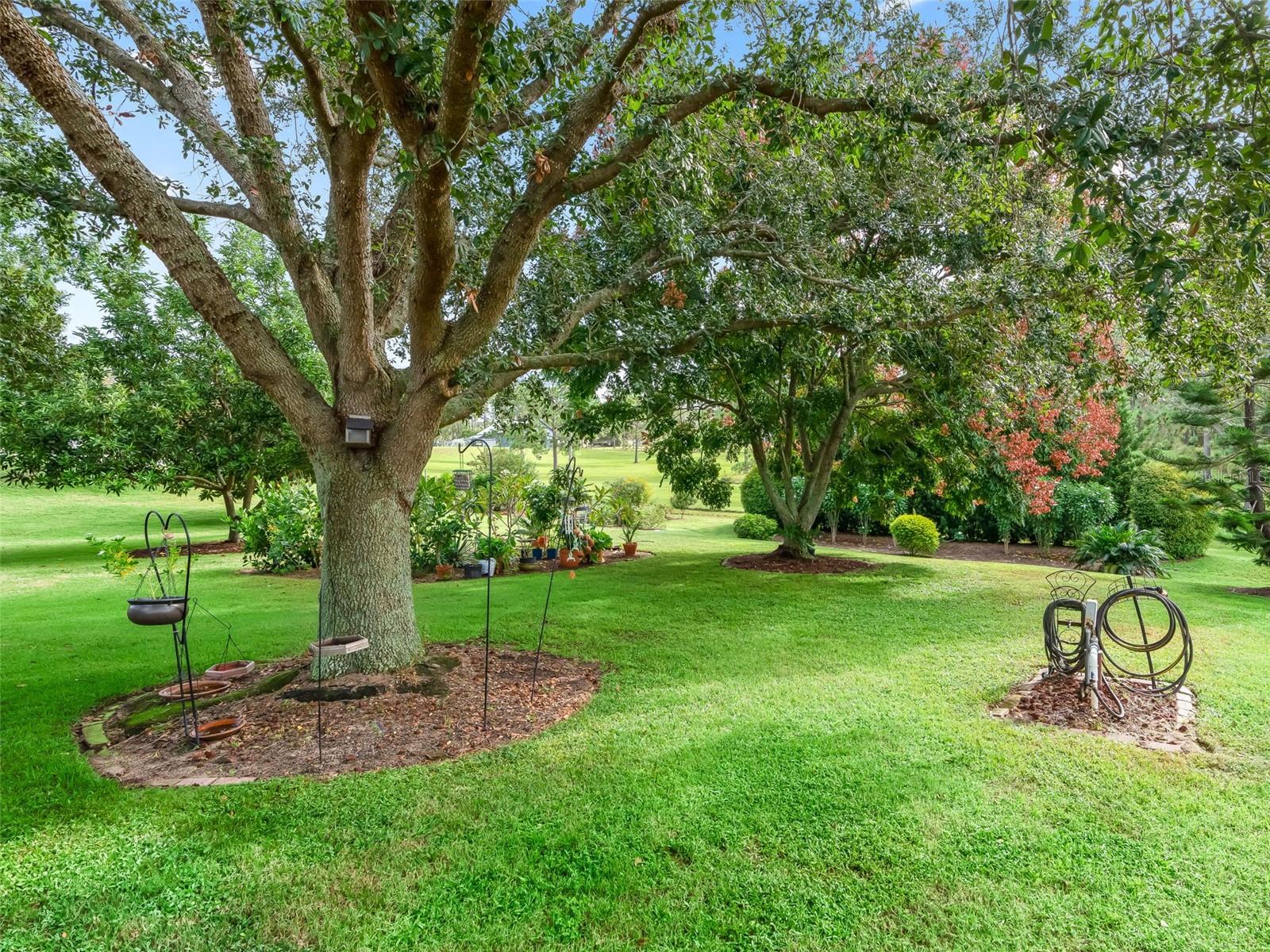 Image 55 of 69 For 31318 Sunny Meadow Court