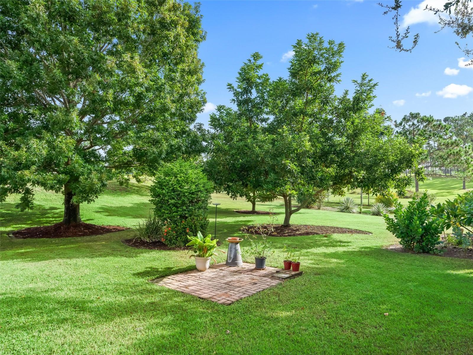 Image 57 of 69 For 31318 Sunny Meadow Court