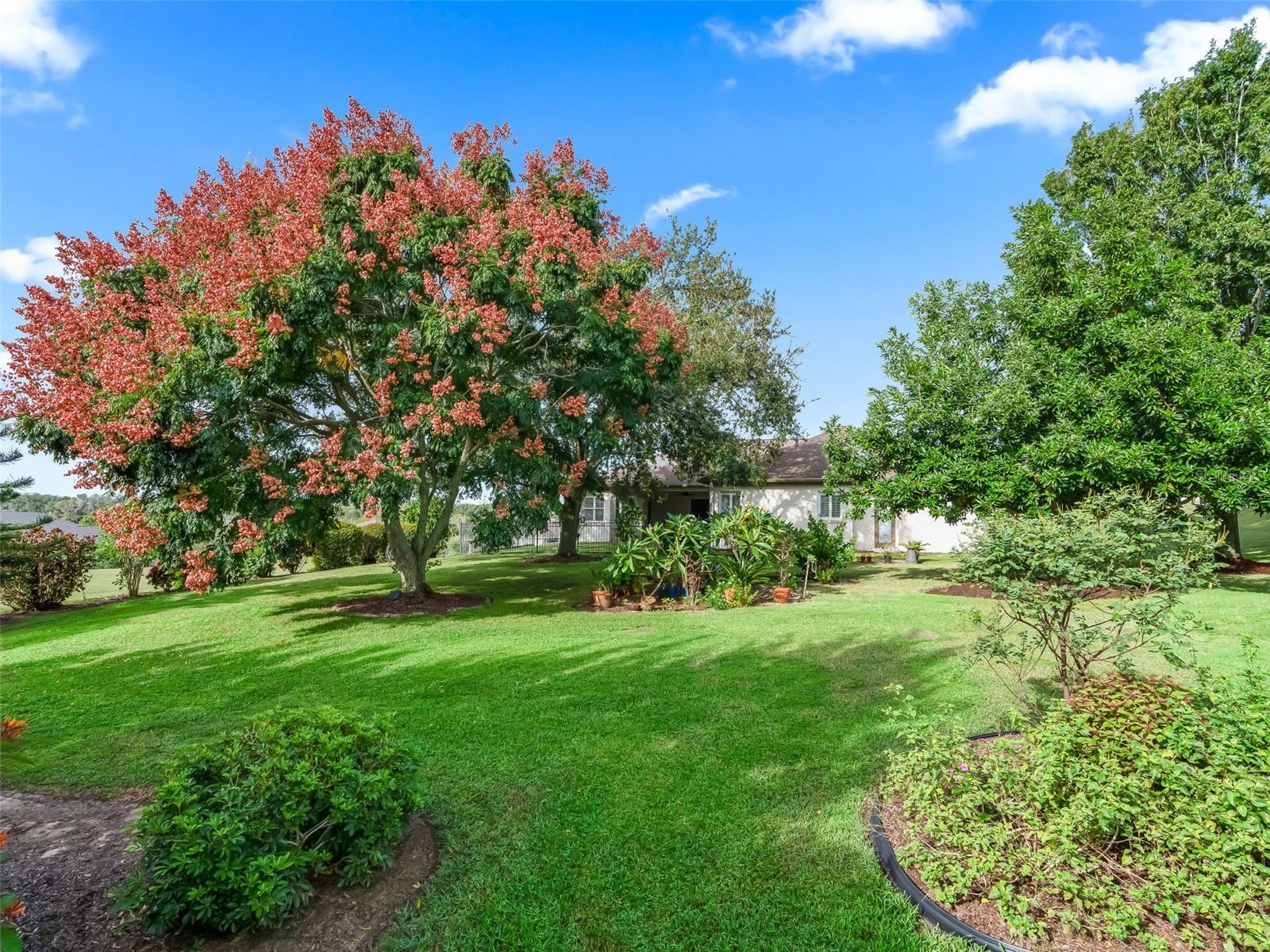 Image 61 of 69 For 31318 Sunny Meadow Court