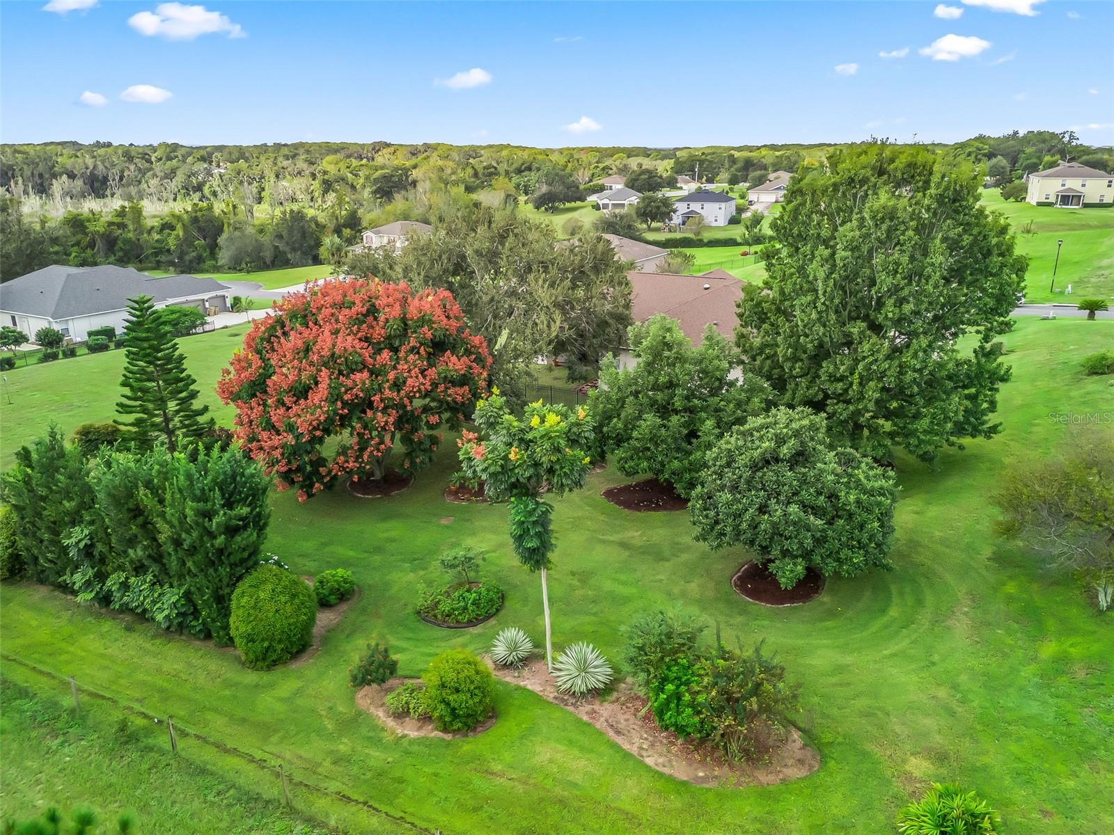 Image 64 of 69 For 31318 Sunny Meadow Court