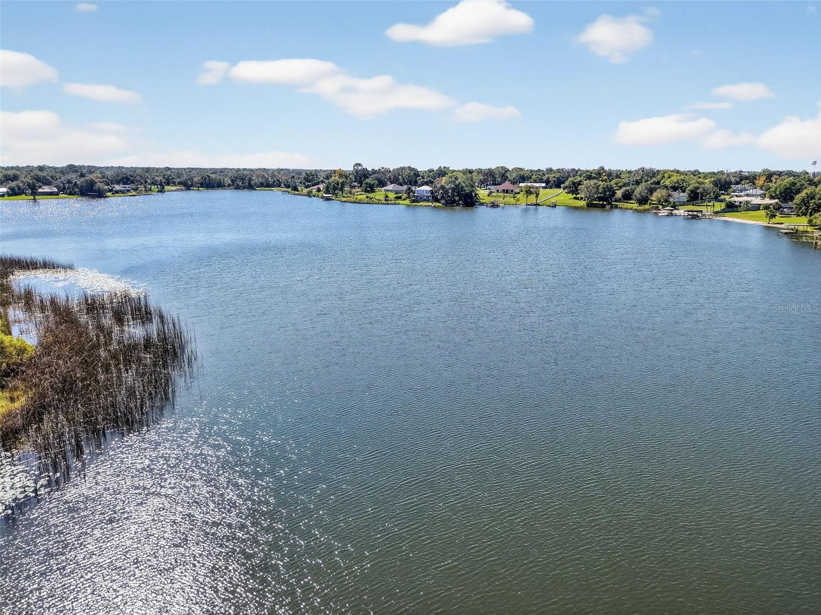 Image 37 of 38 For 102 Trowell Avenue