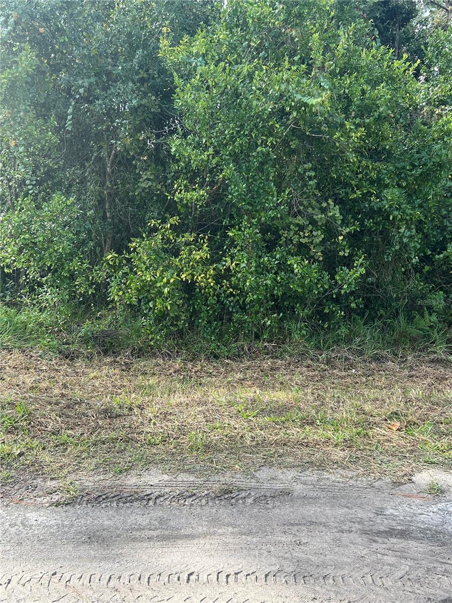 Listing Details for Pt Lts 120-122 Lk Eustis Herrick Avenue, EUSTIS, FL 32726