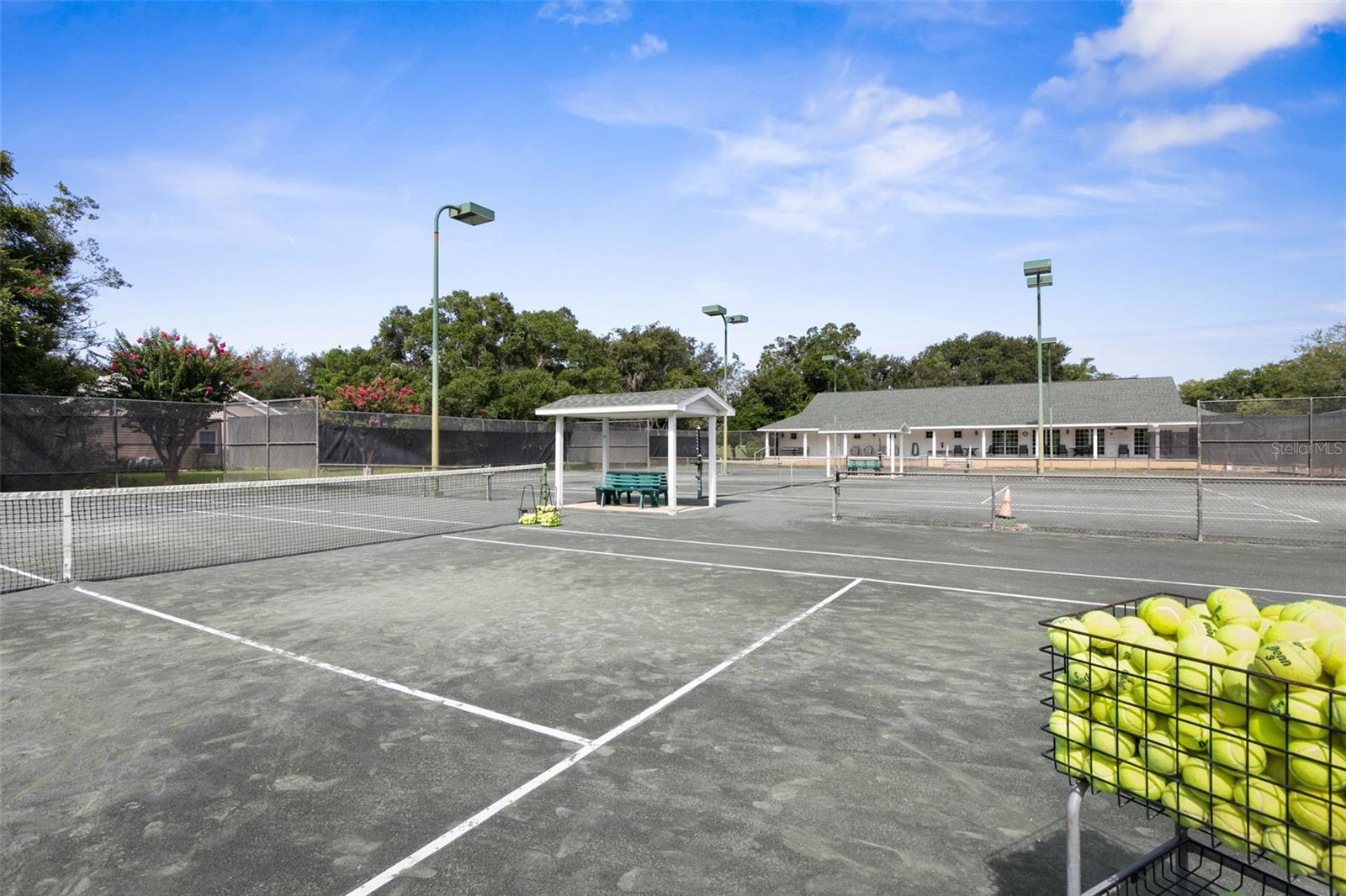 Image 43 of 53 For 1313 Runaby Lane