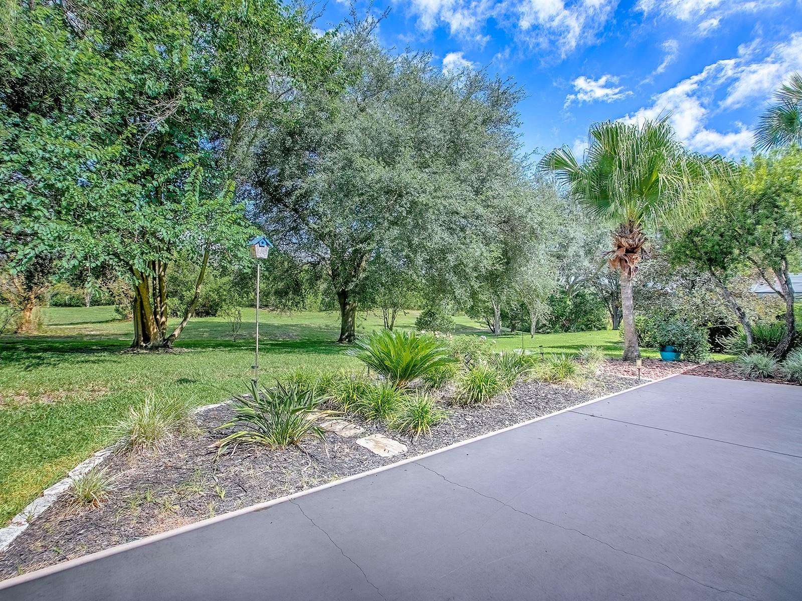 Image 49 of 70 For 564 Dowling Circle