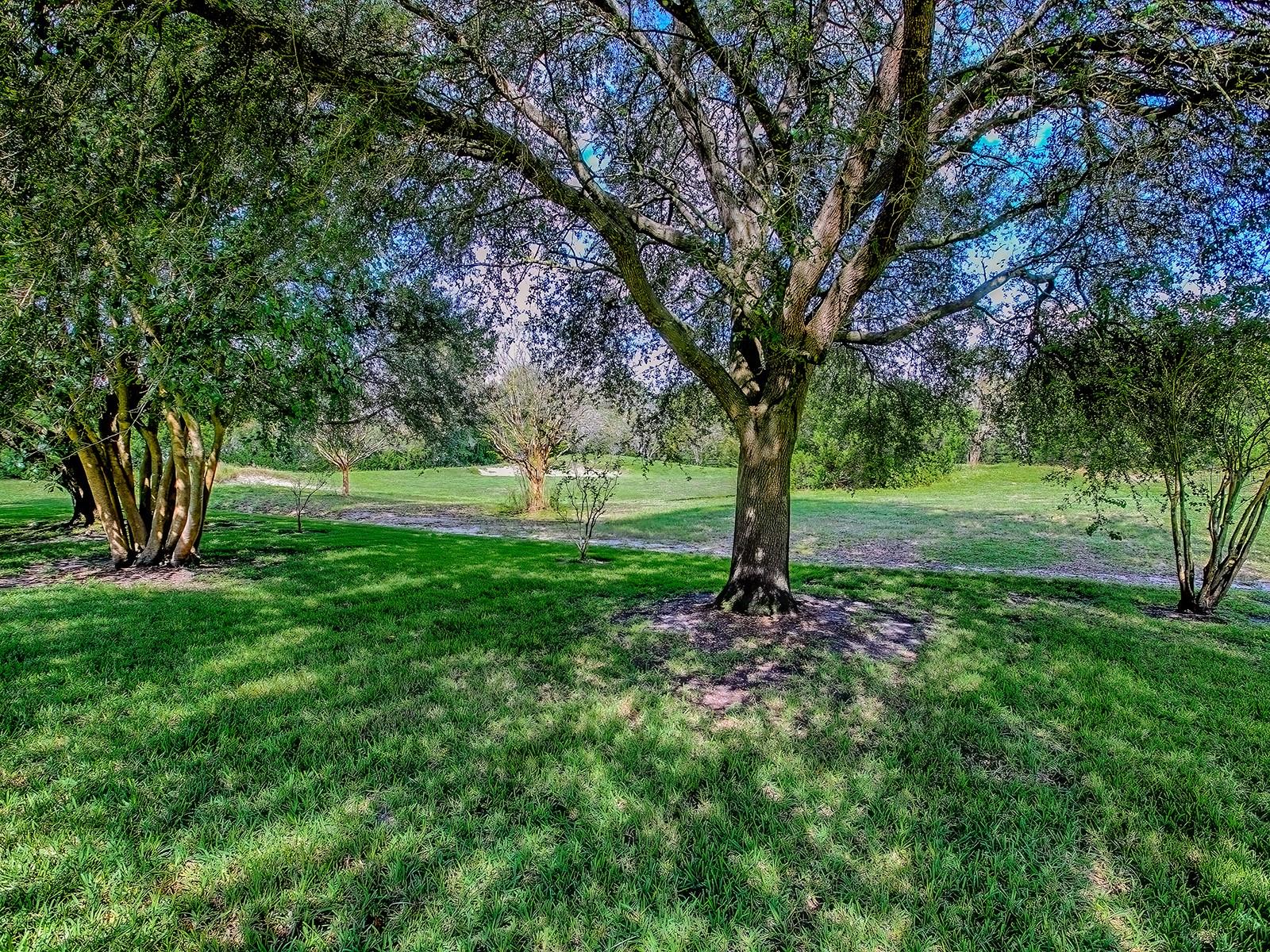 Image 53 of 70 For 564 Dowling Circle