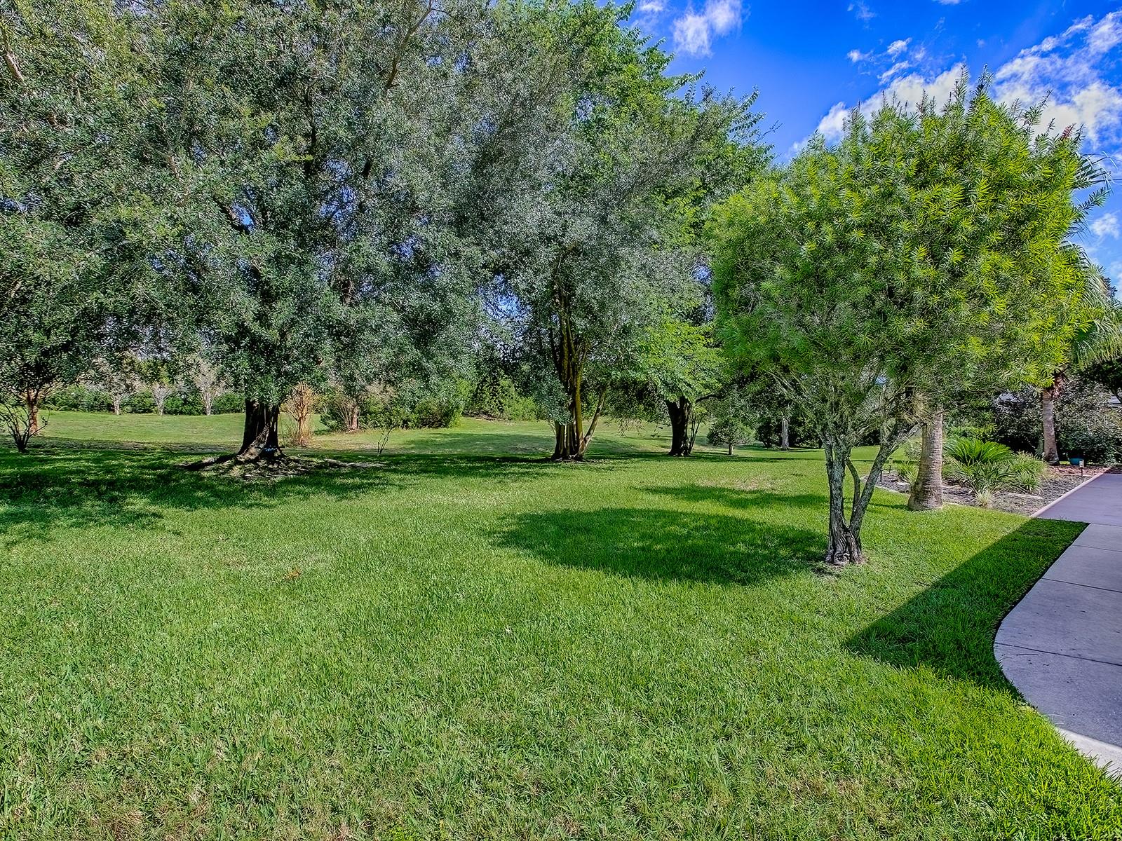 Image 54 of 70 For 564 Dowling Circle