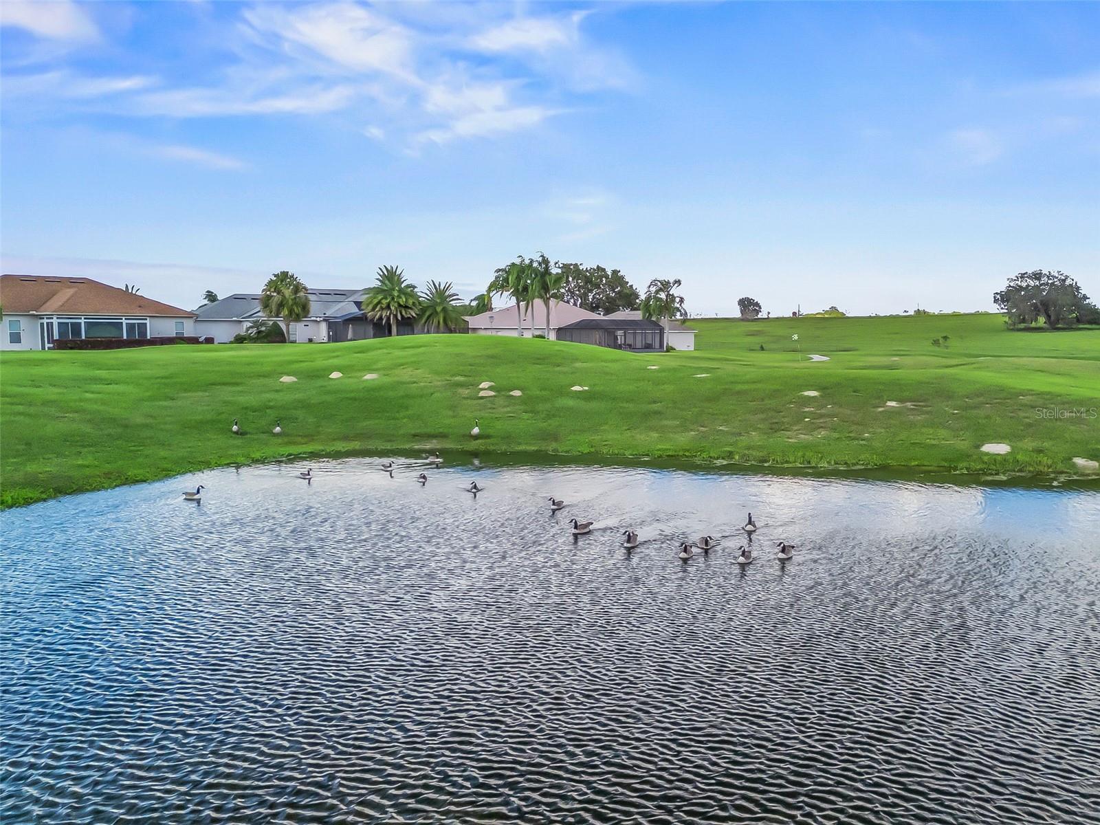 Image 55 of 73 For 17414 123rd Terrace