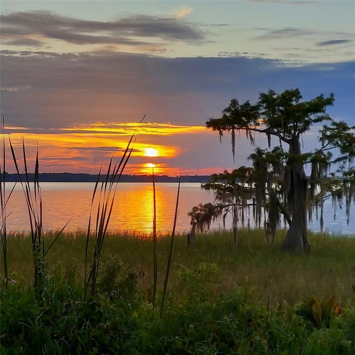 Details for 2225 Cypress Court 2c, TAVARES, FL 32778