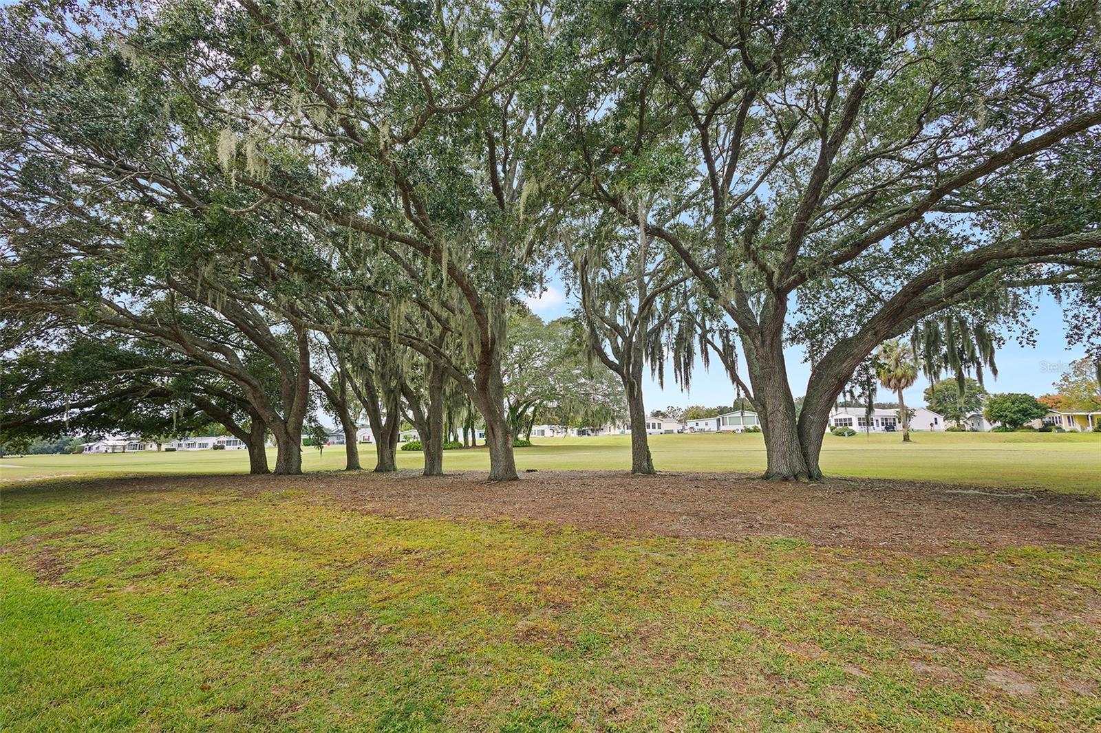 Image 5 of 34 For 1536 Schwartz Boulevard