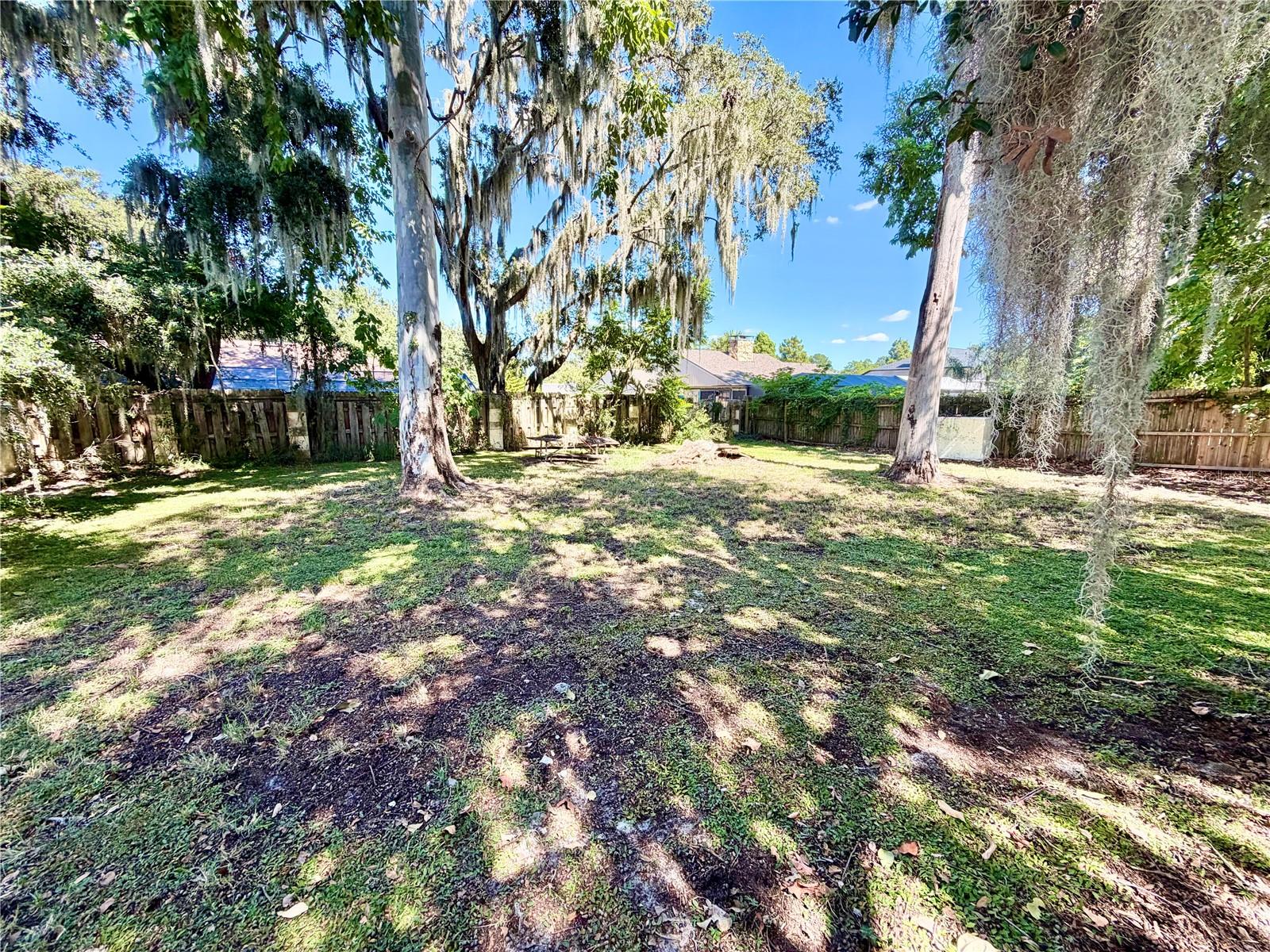 Image 37 of 45 For 208 Palm Way