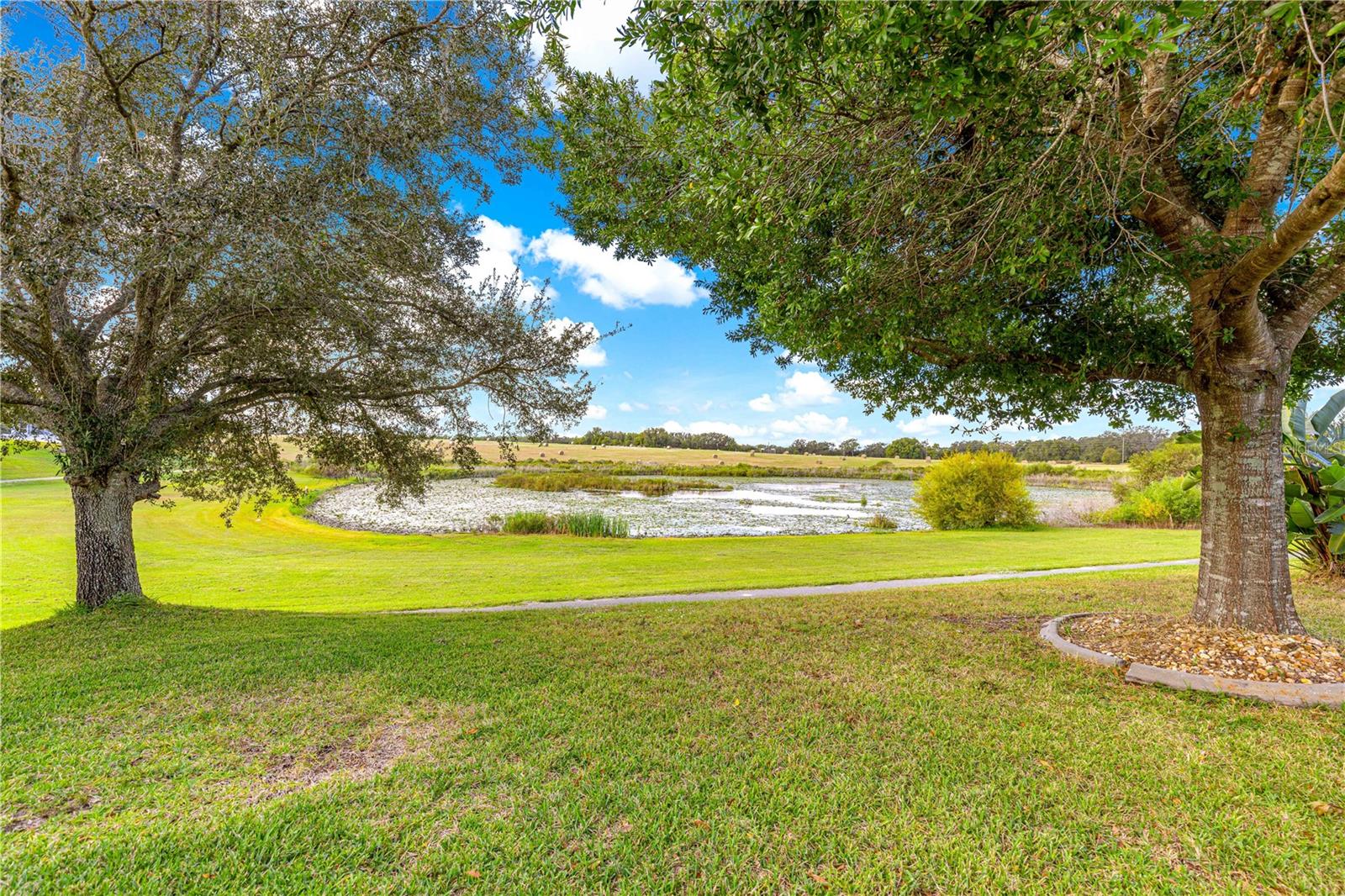Image 55 of 80 For 25500 Maurepas Lane