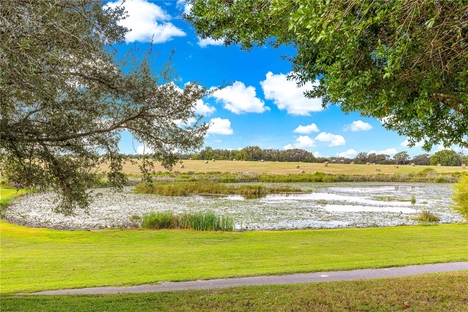 Image 56 of 80 For 25500 Maurepas Lane