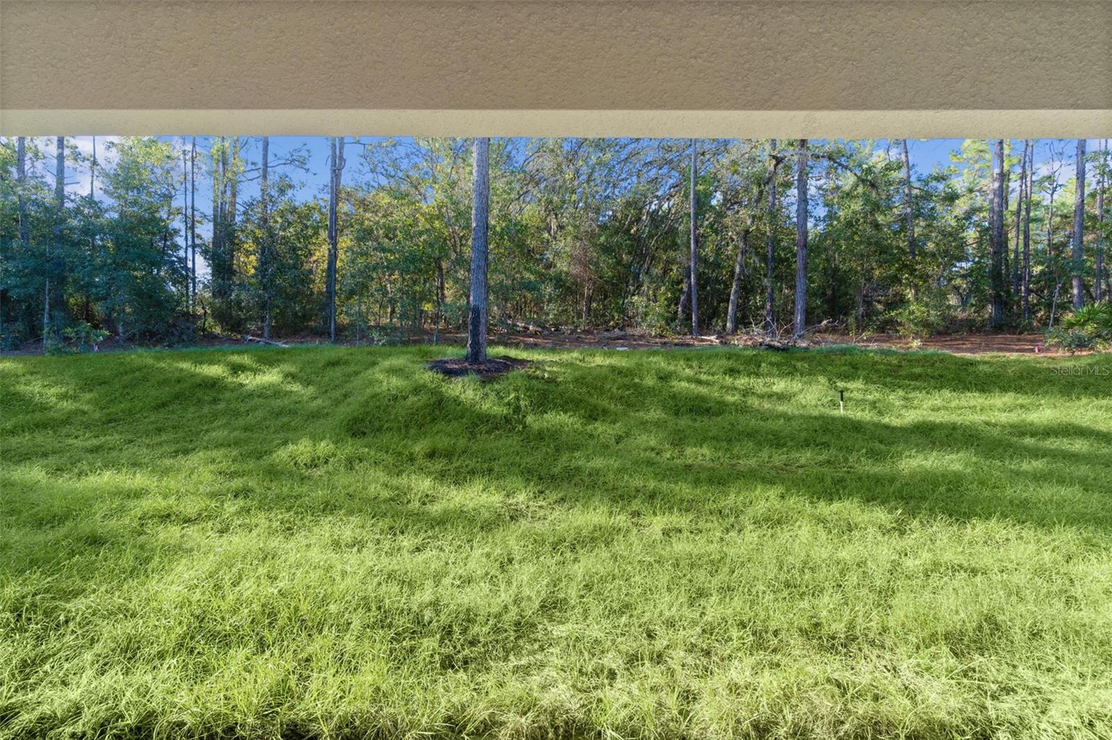 Listing photo id 31 for 7957 Primrose Drive